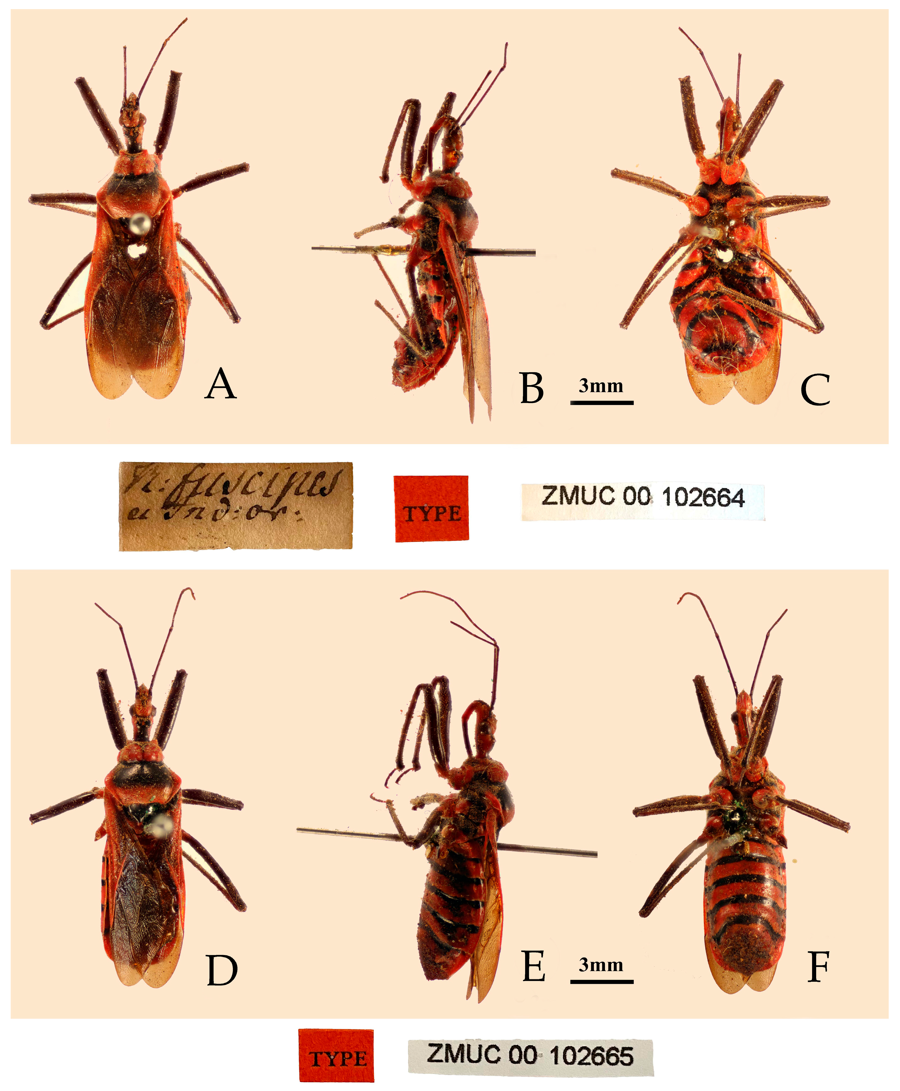 Insects 16 00823 g004
