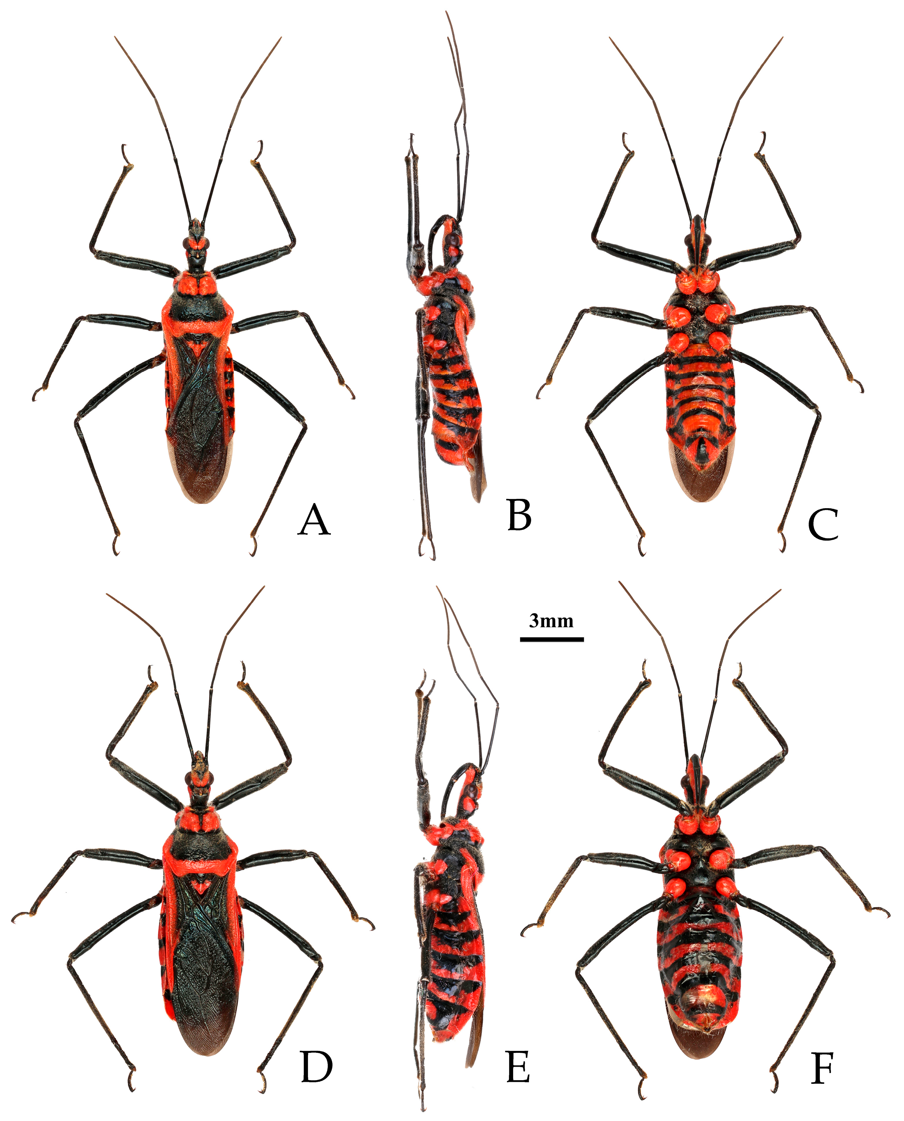 Insects 16 00823 g005