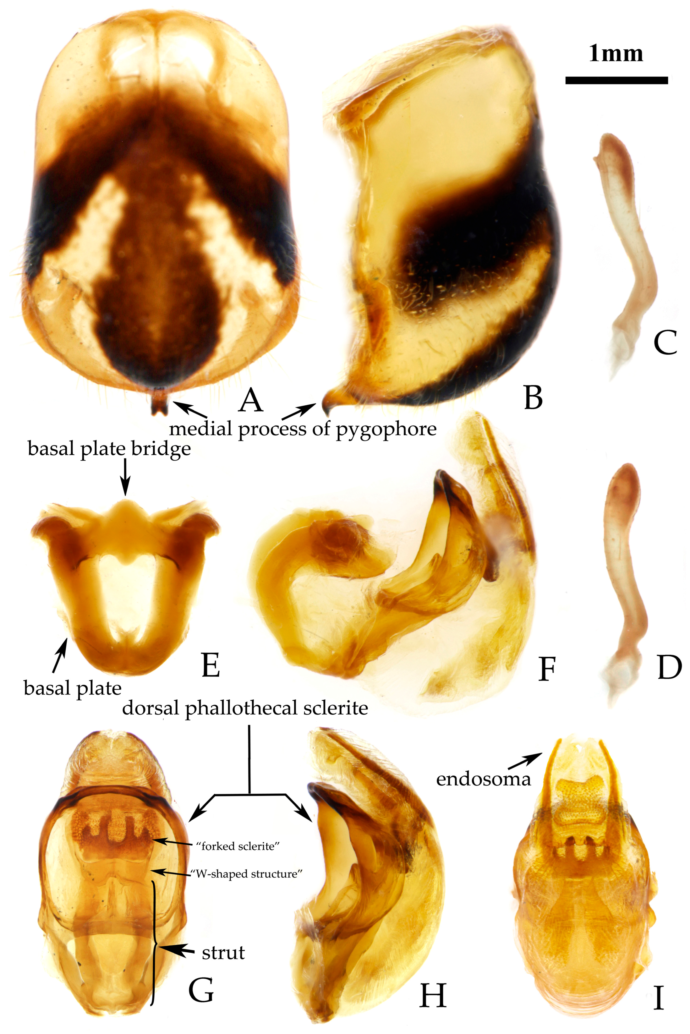 Insects 16 00823 g006