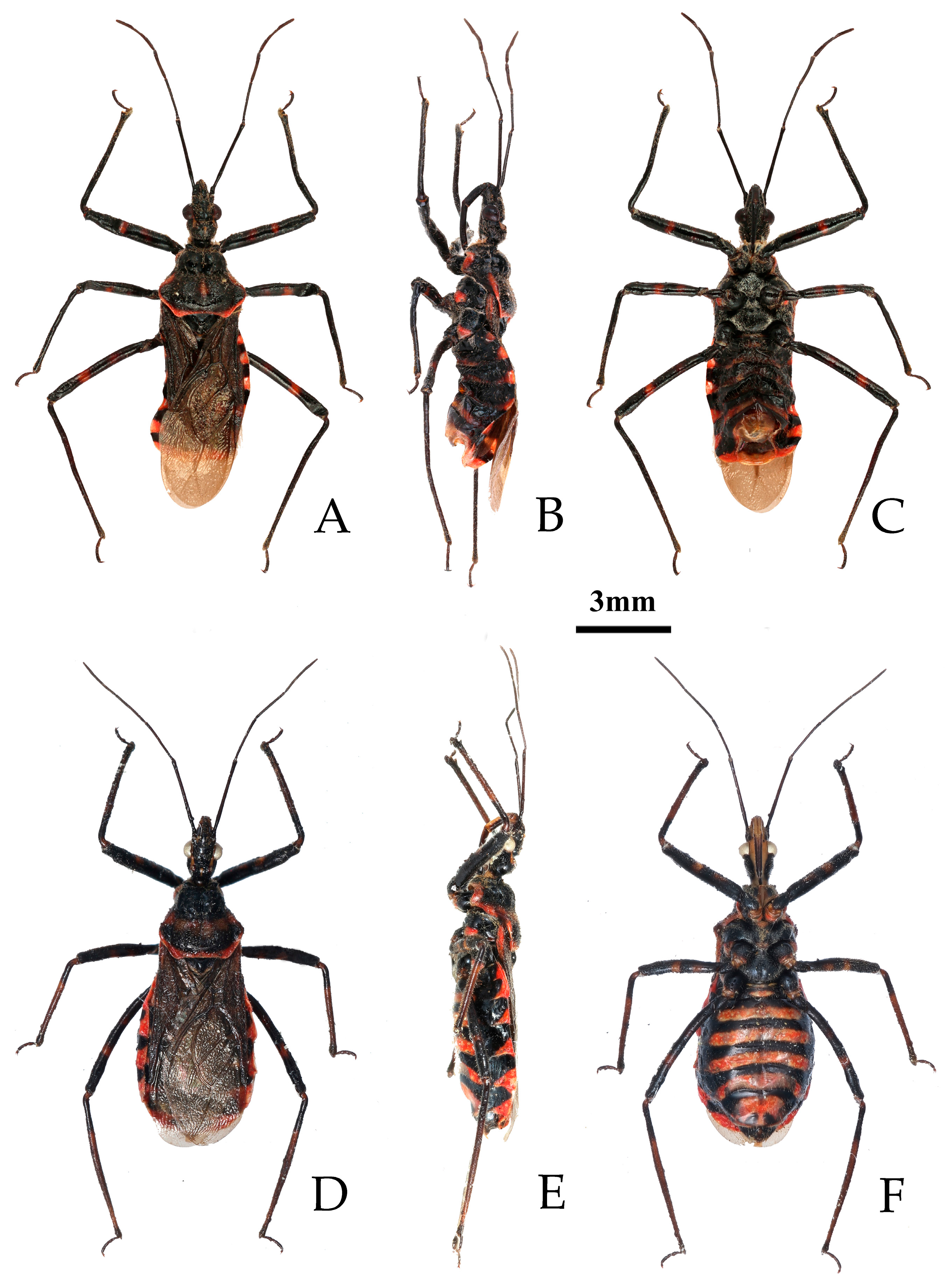 Insects 16 00823 g007