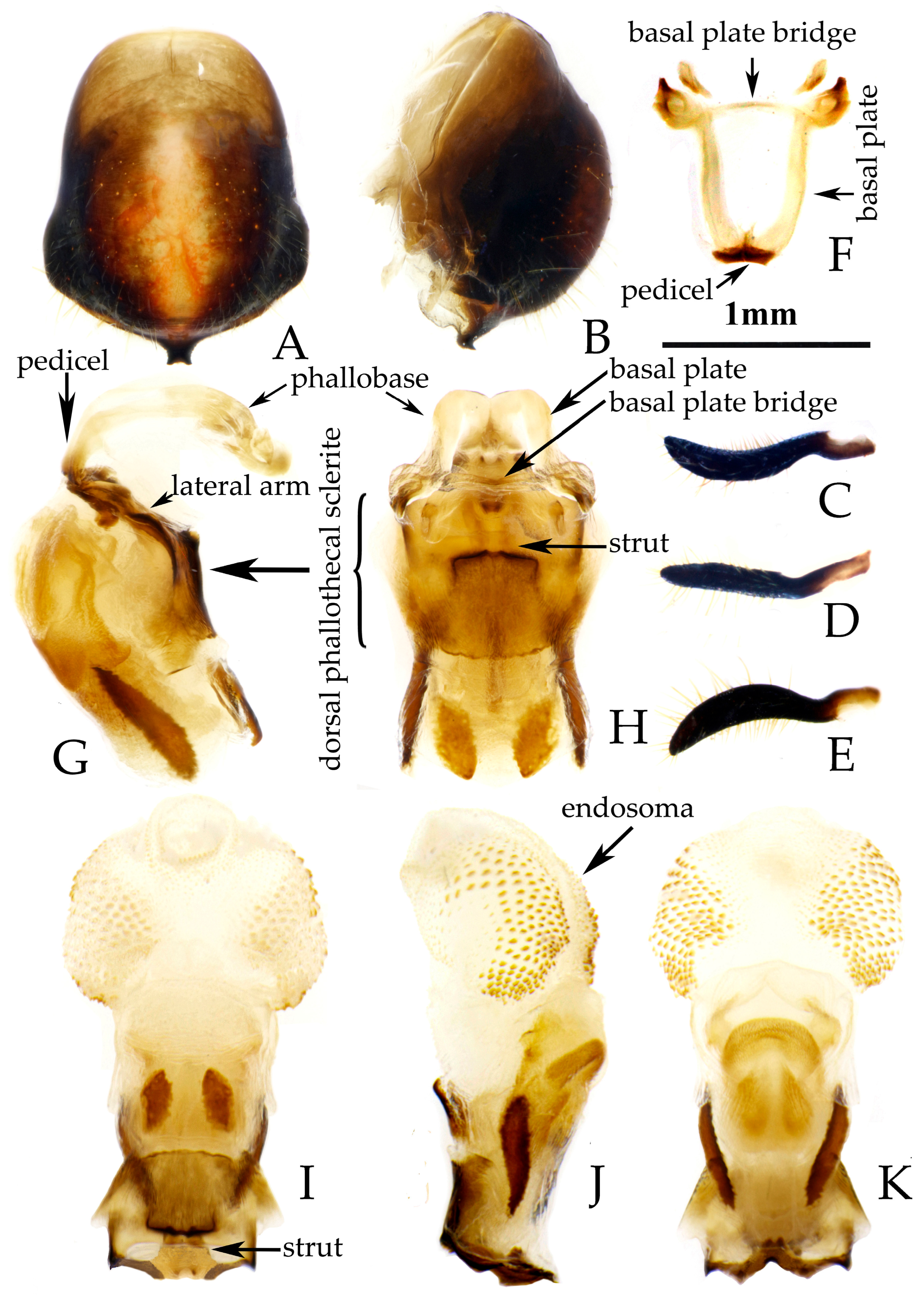 Insects 16 00823 g008