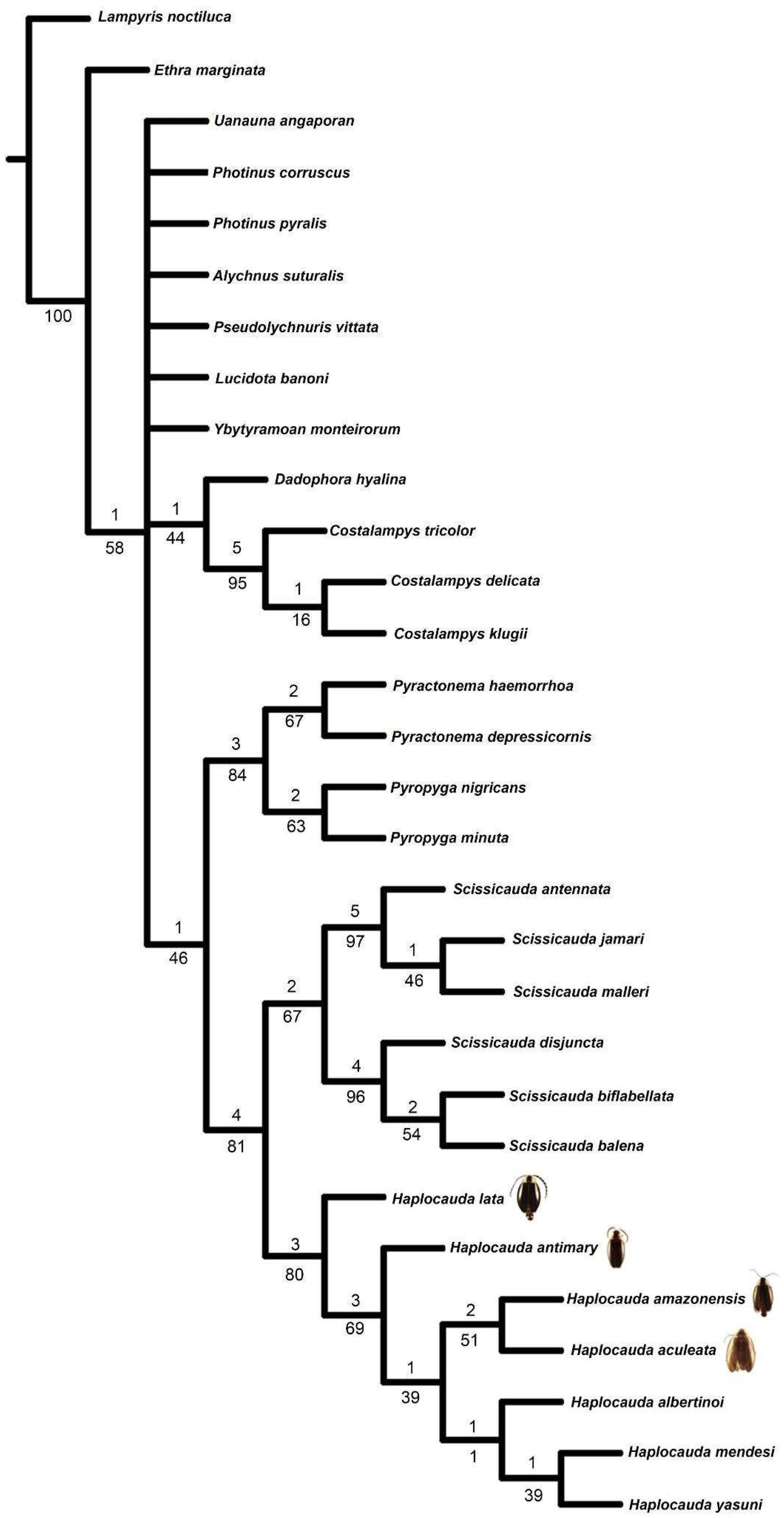 Insects 16 00824 g002