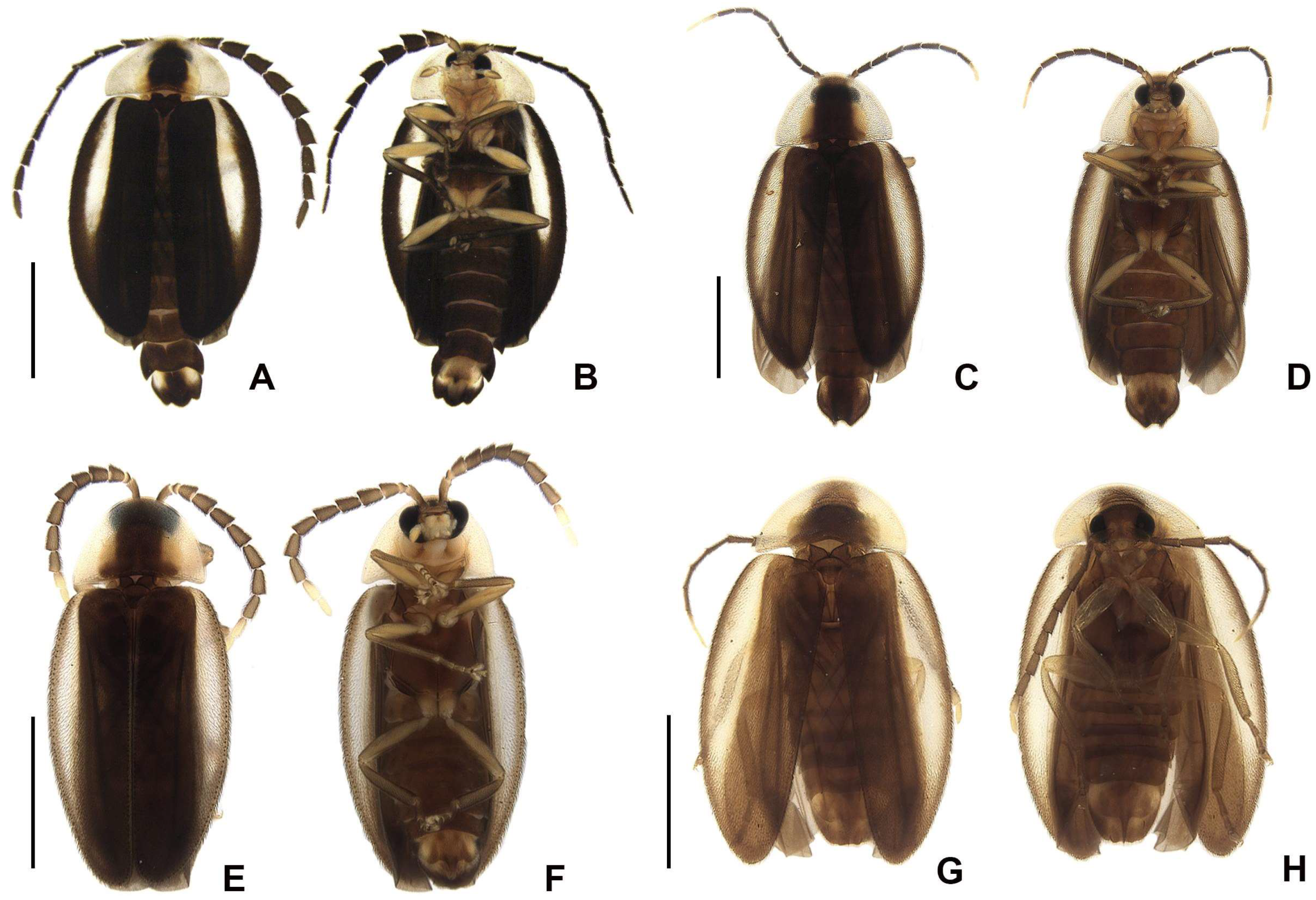 Insects 16 00824 g003