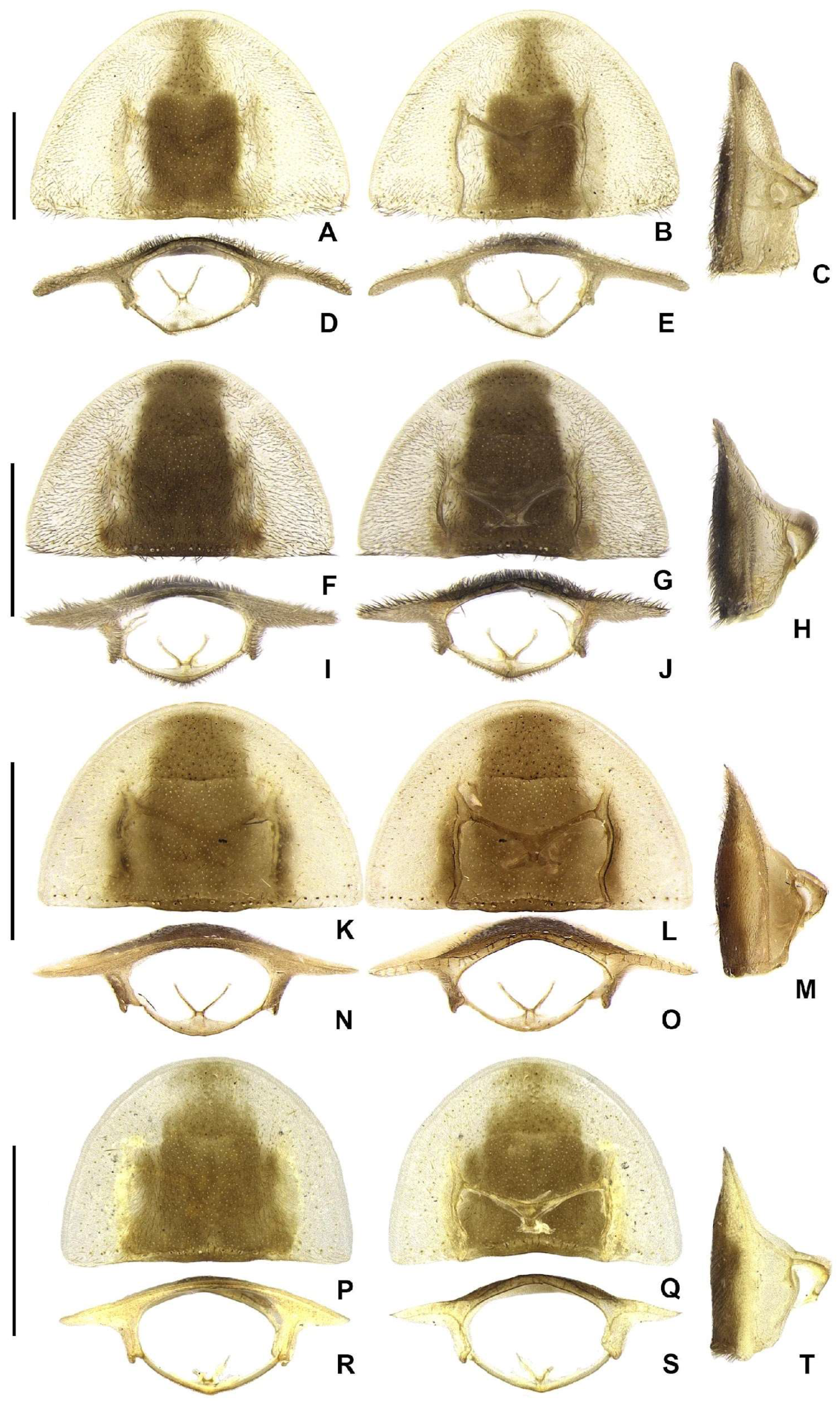 Insects 16 00824 g005