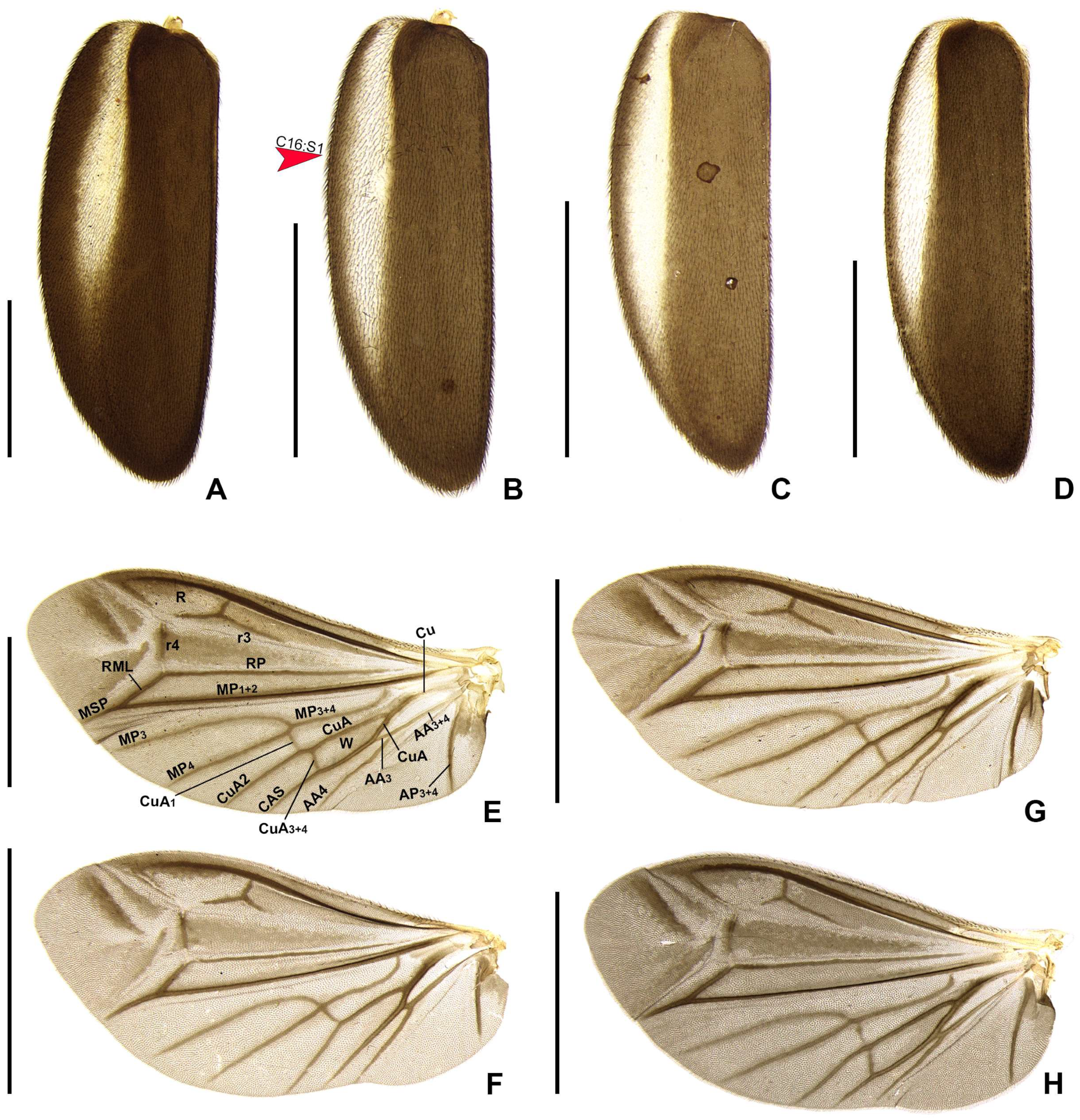 Insects 16 00824 g006
