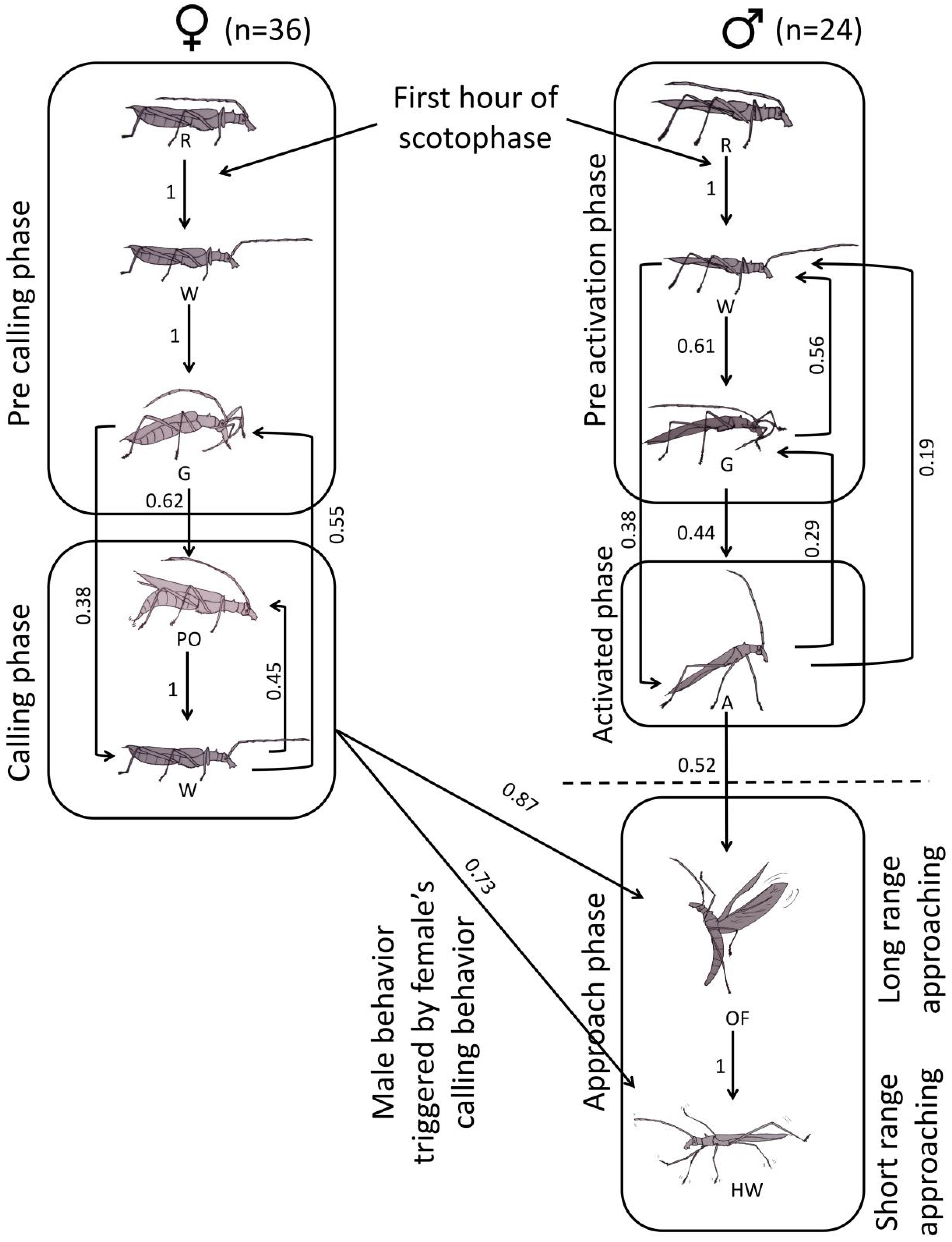 Insects 16 00847 g006 Insects 16 00847 g006