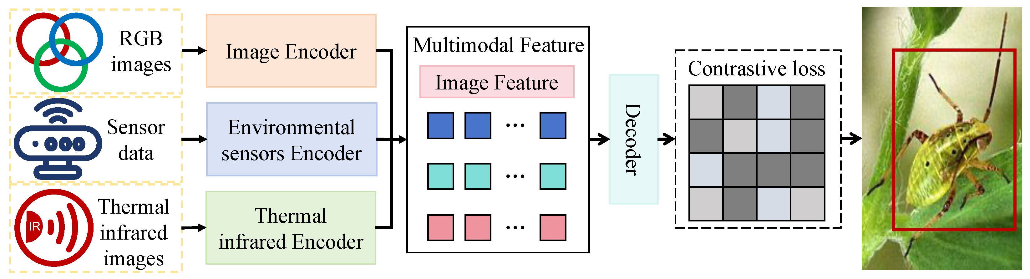 Insects 16 00850 g002 Insects 16 00850 g002