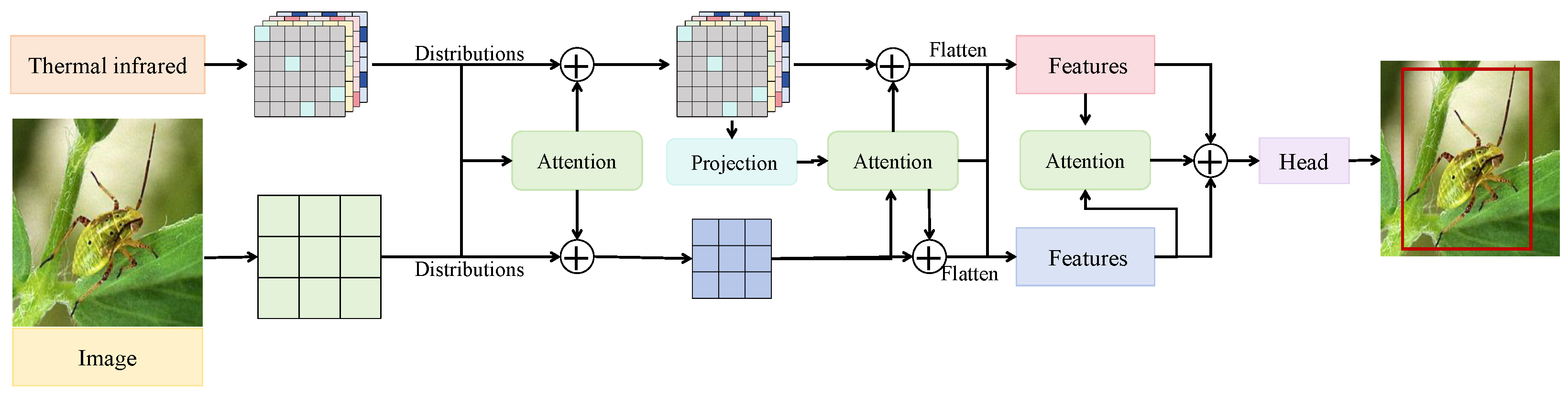 Insects 16 00850 g003 Insects 16 00850 g003