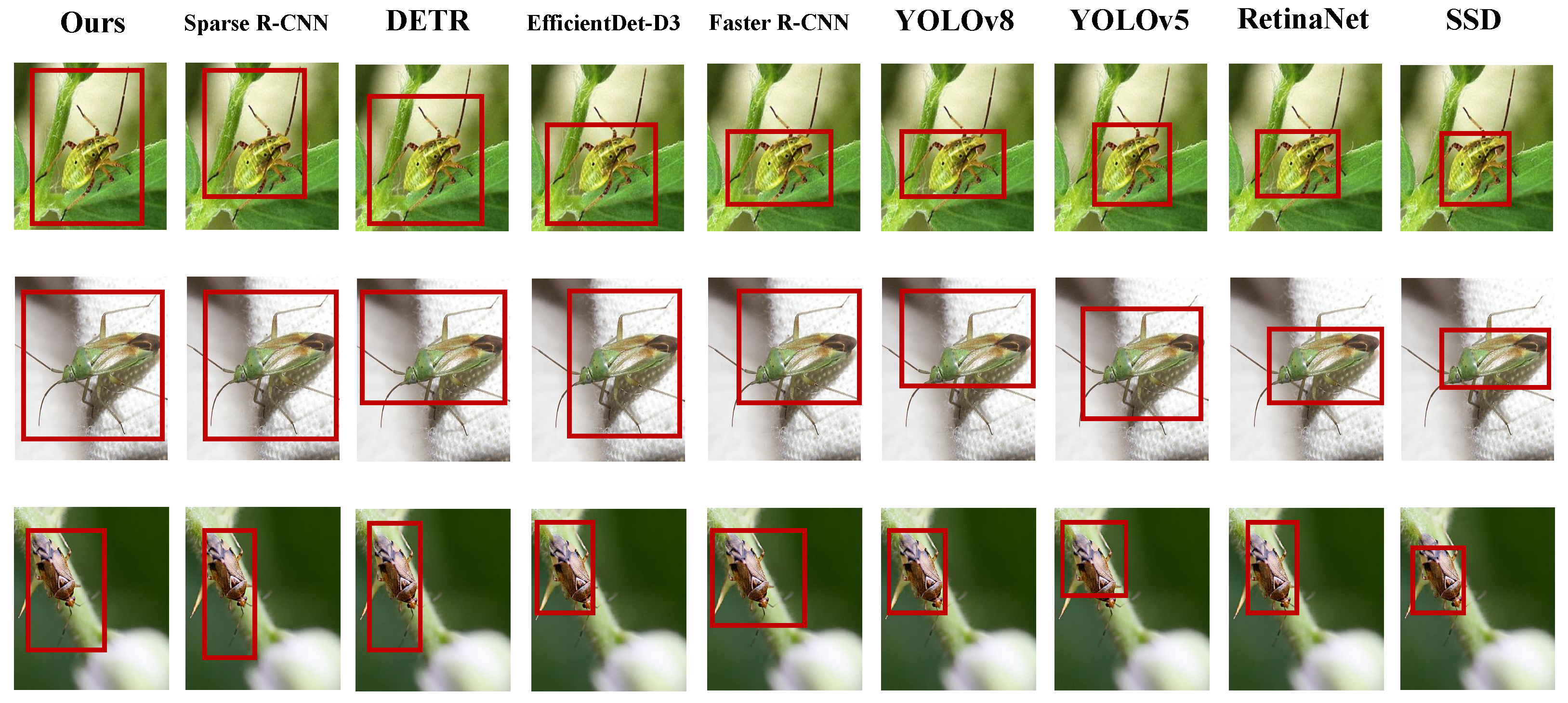 Insects 16 00850 g006 Insects 16 00850 g006