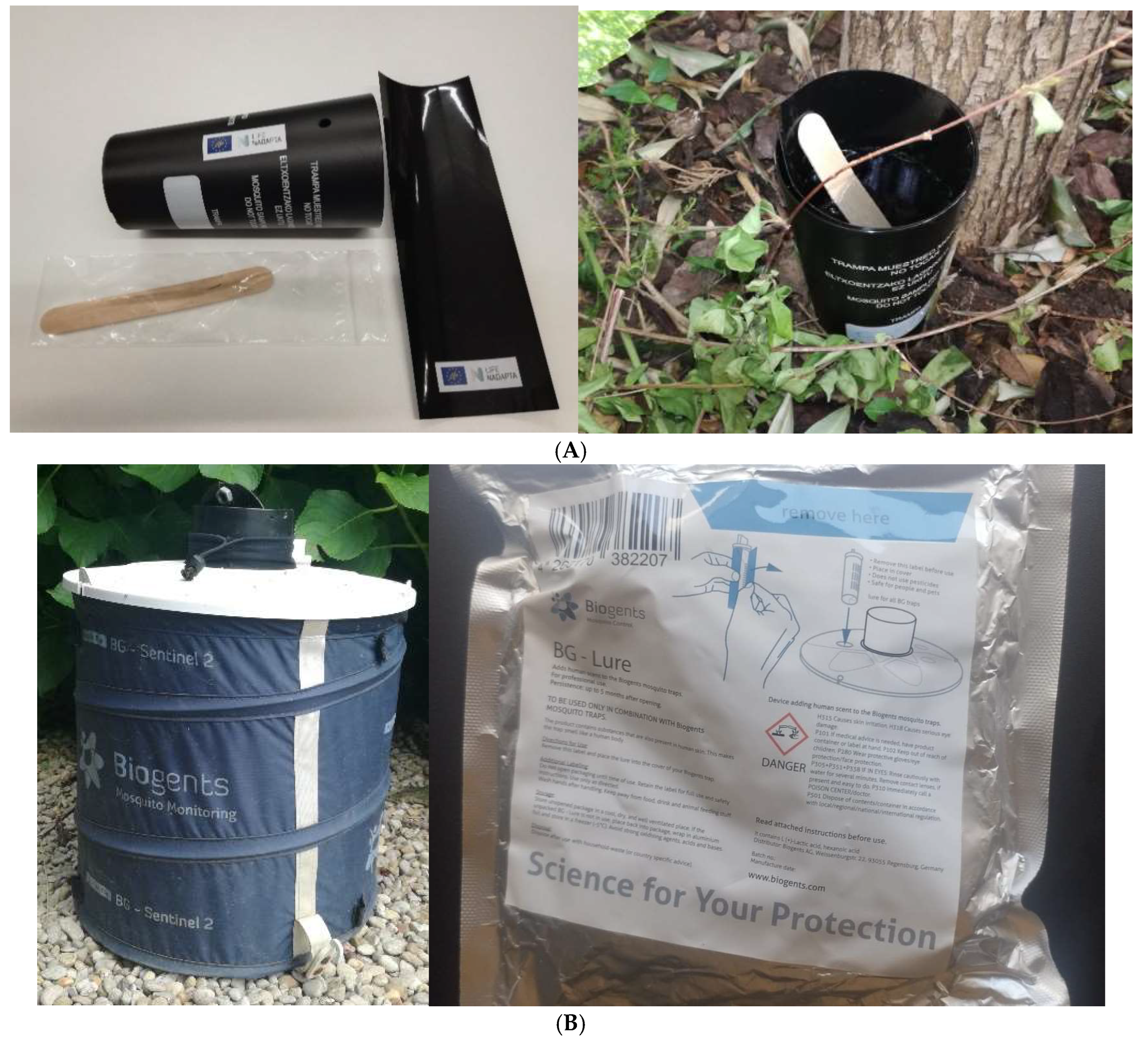 Insects 16 00852 g002 Insects 16 00852 g002