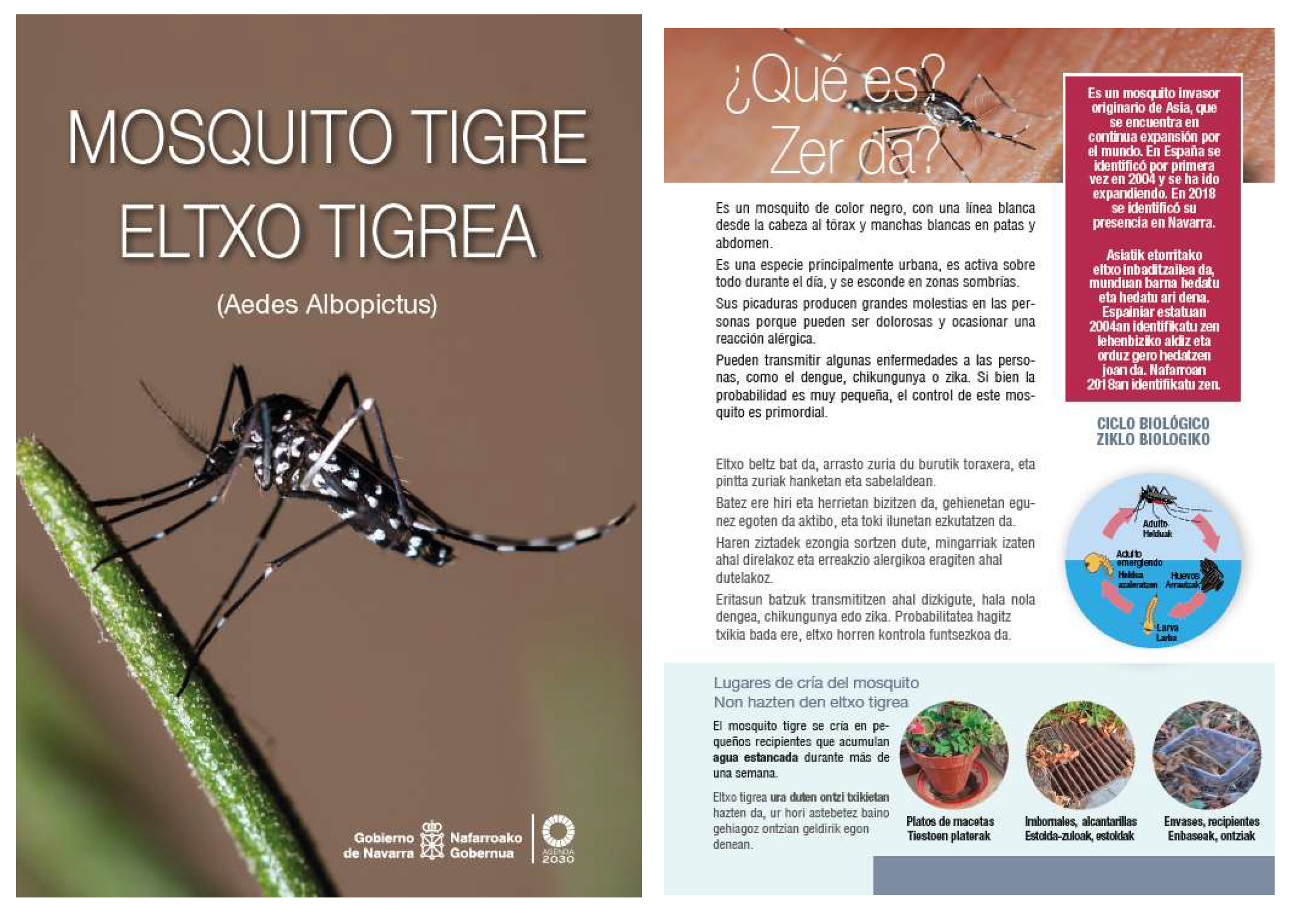 Insects 16 00852 g004a Insects 16 00852 g004a