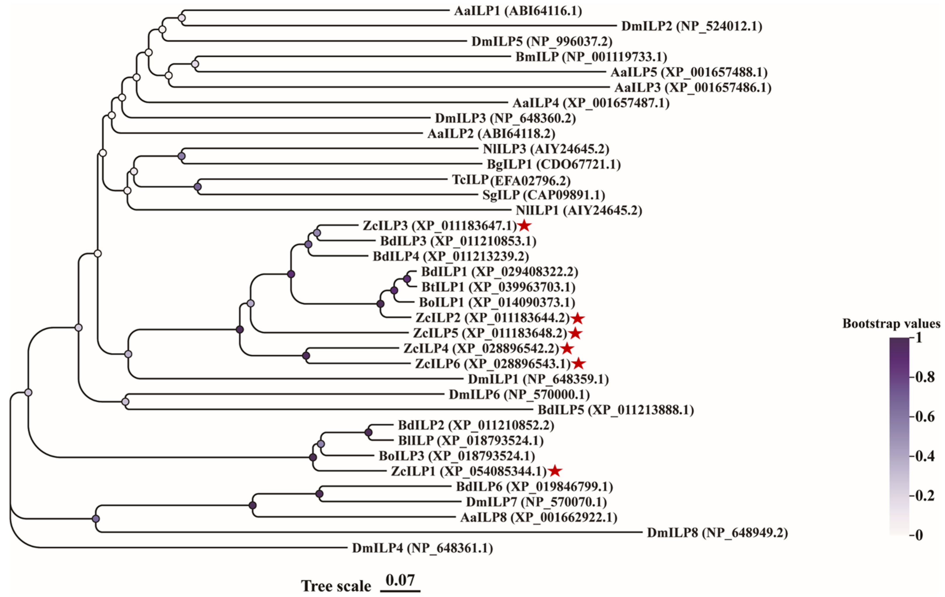 Insects 16 00854 g002