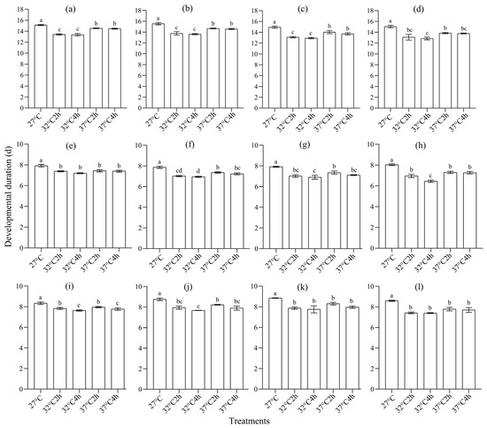 ルート 小梅 Nissan 3.3 SOHC VG33E Frontier Xterra QX4 Quest OWO