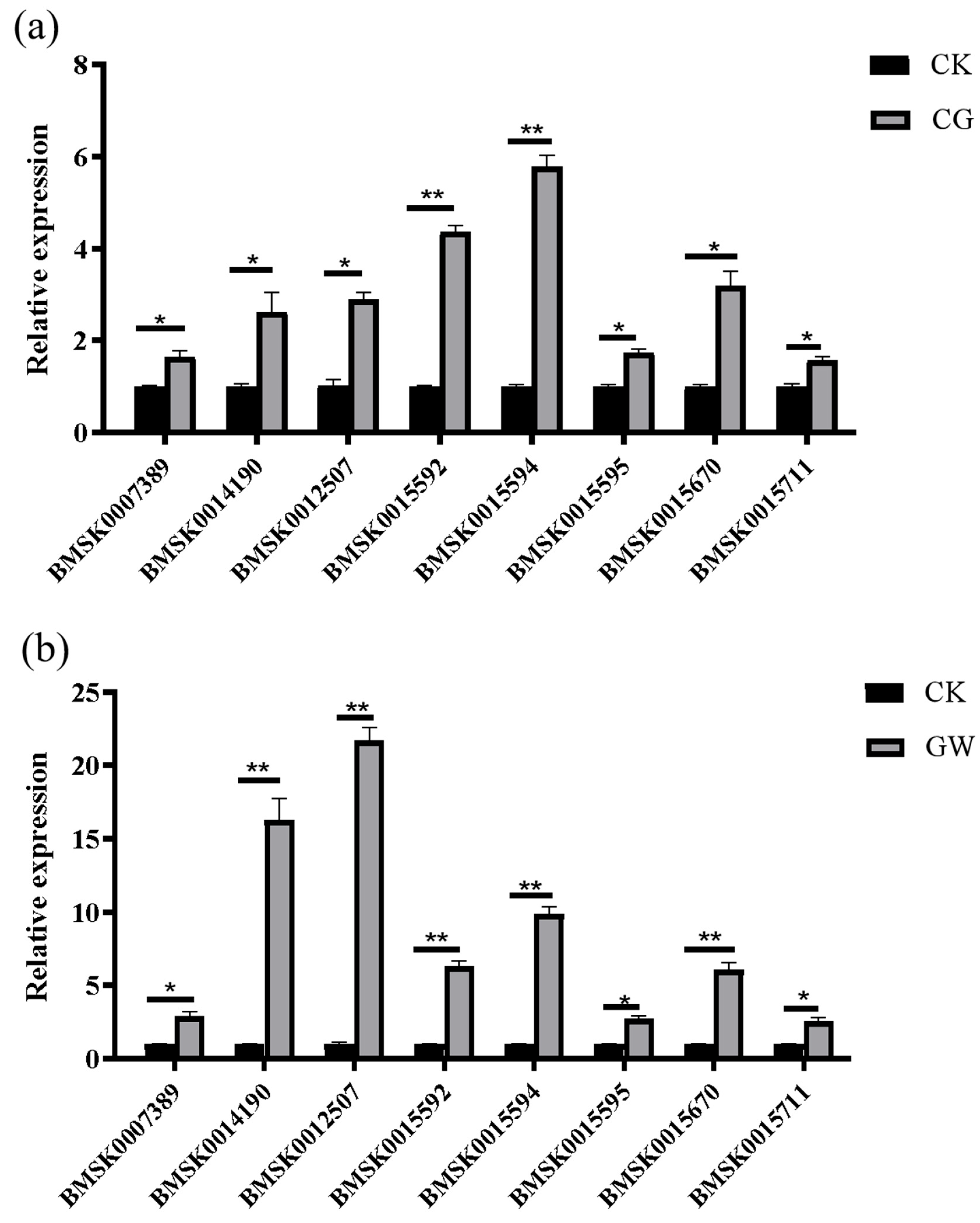 Insects 16 00862 g004a Insects 16 00862 g004a
