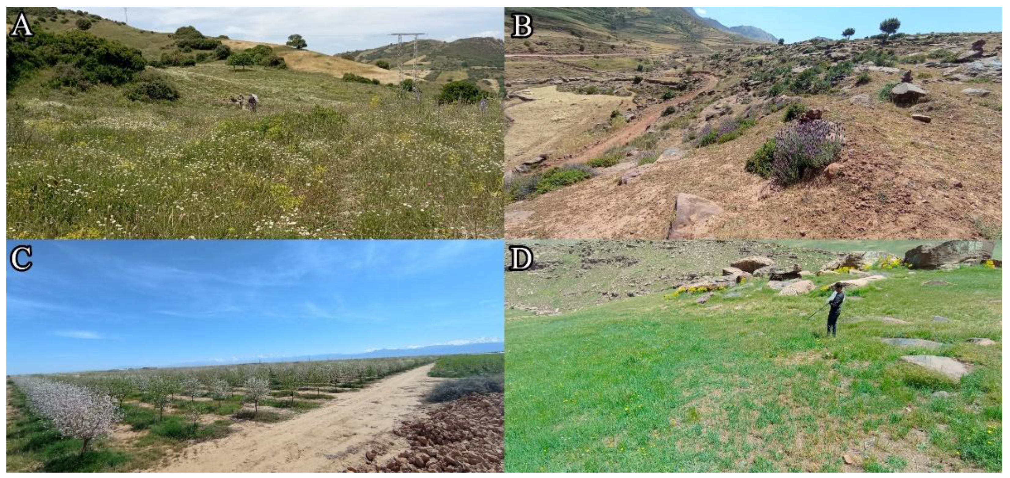 Insects 16 00873 g002 Insects 16 00873 g002