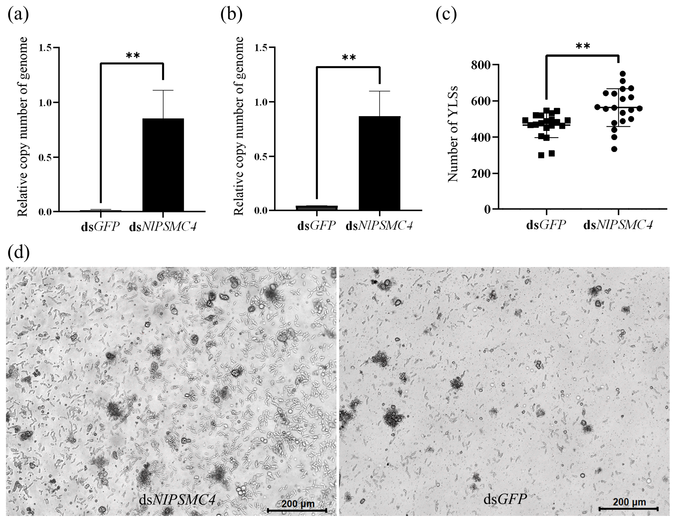 Insects 16 00895 g004