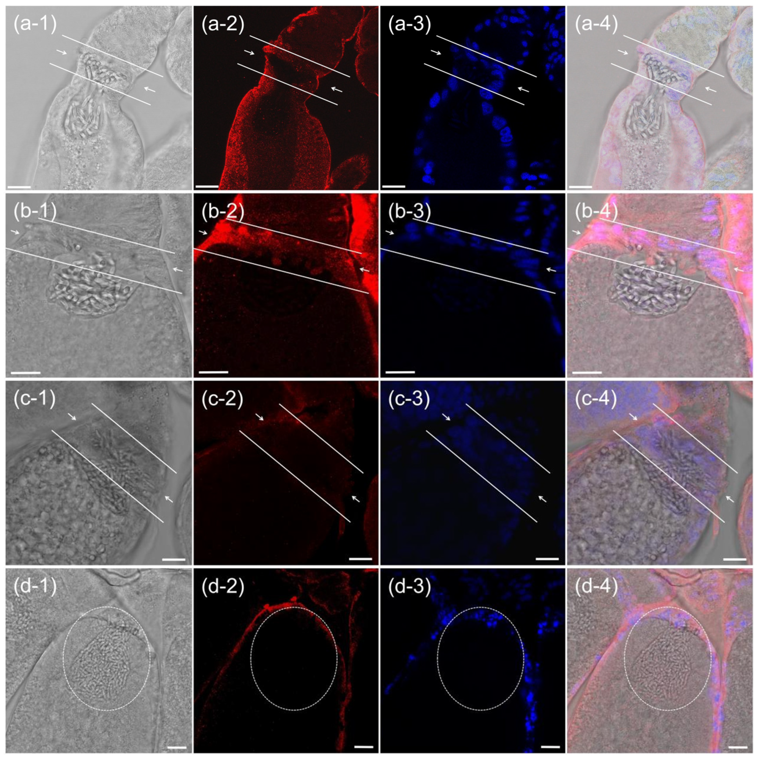 Insects 16 00895 g005