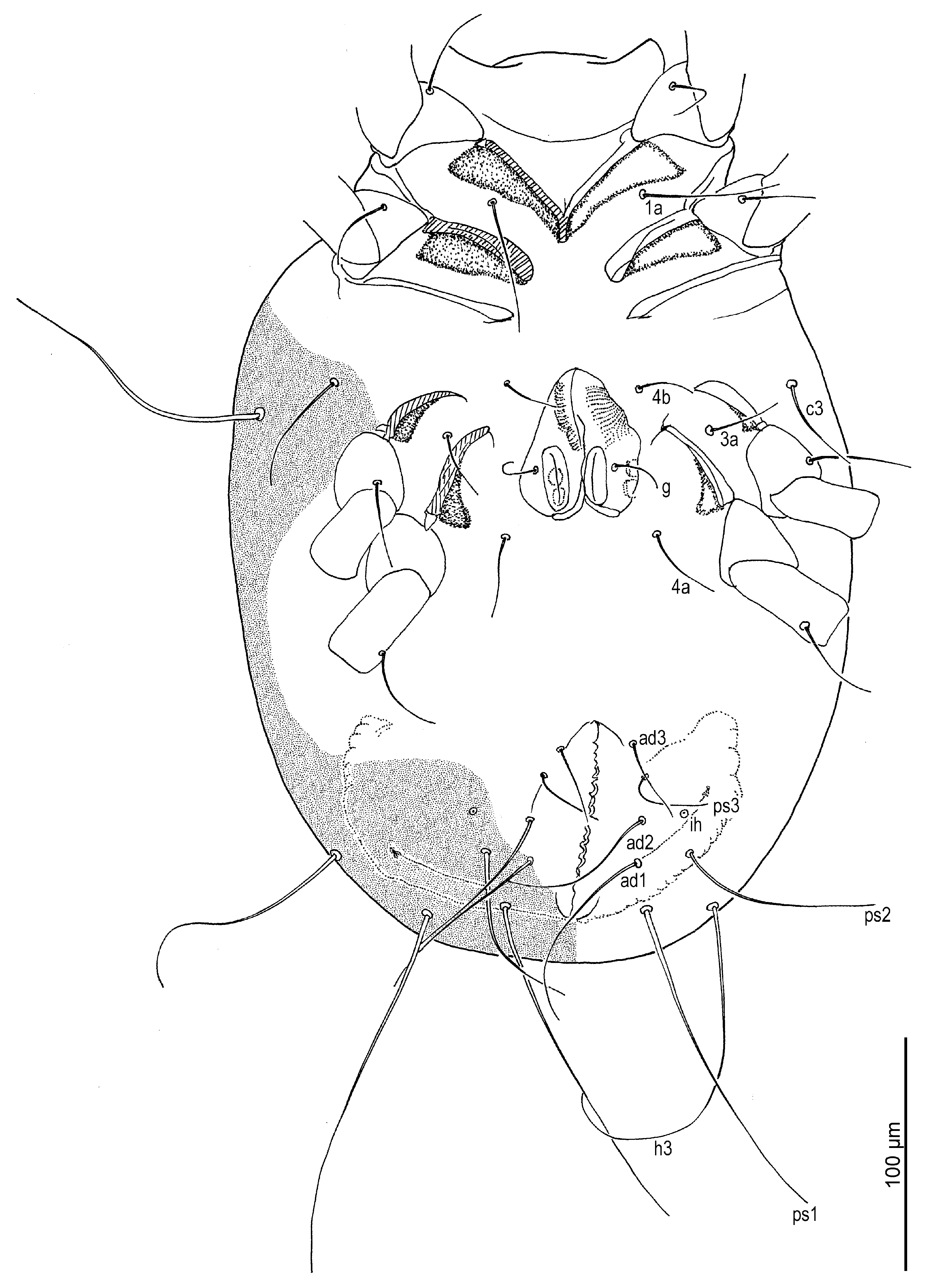 Insects 16 00896 g002