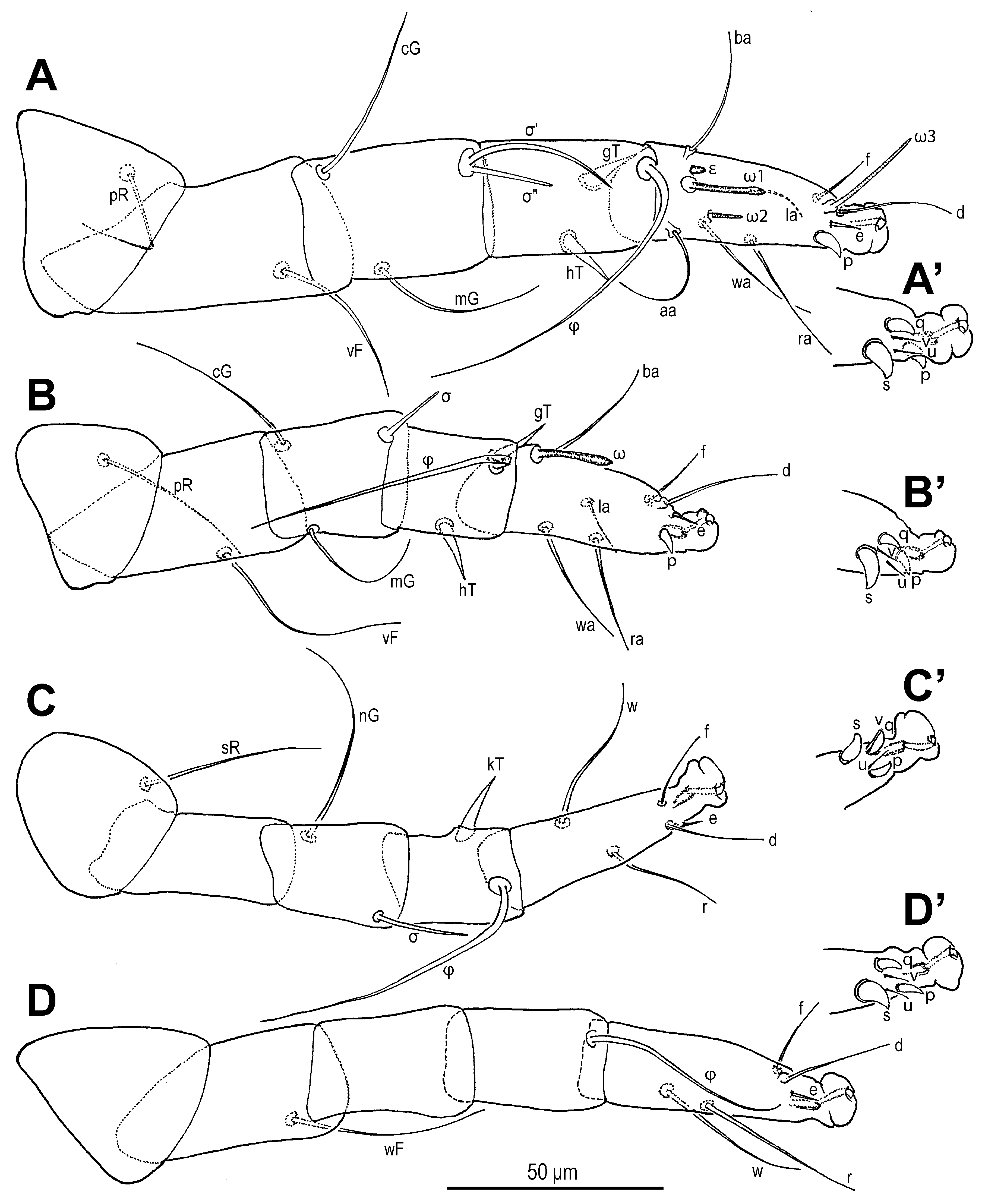 Insects 16 00896 g006