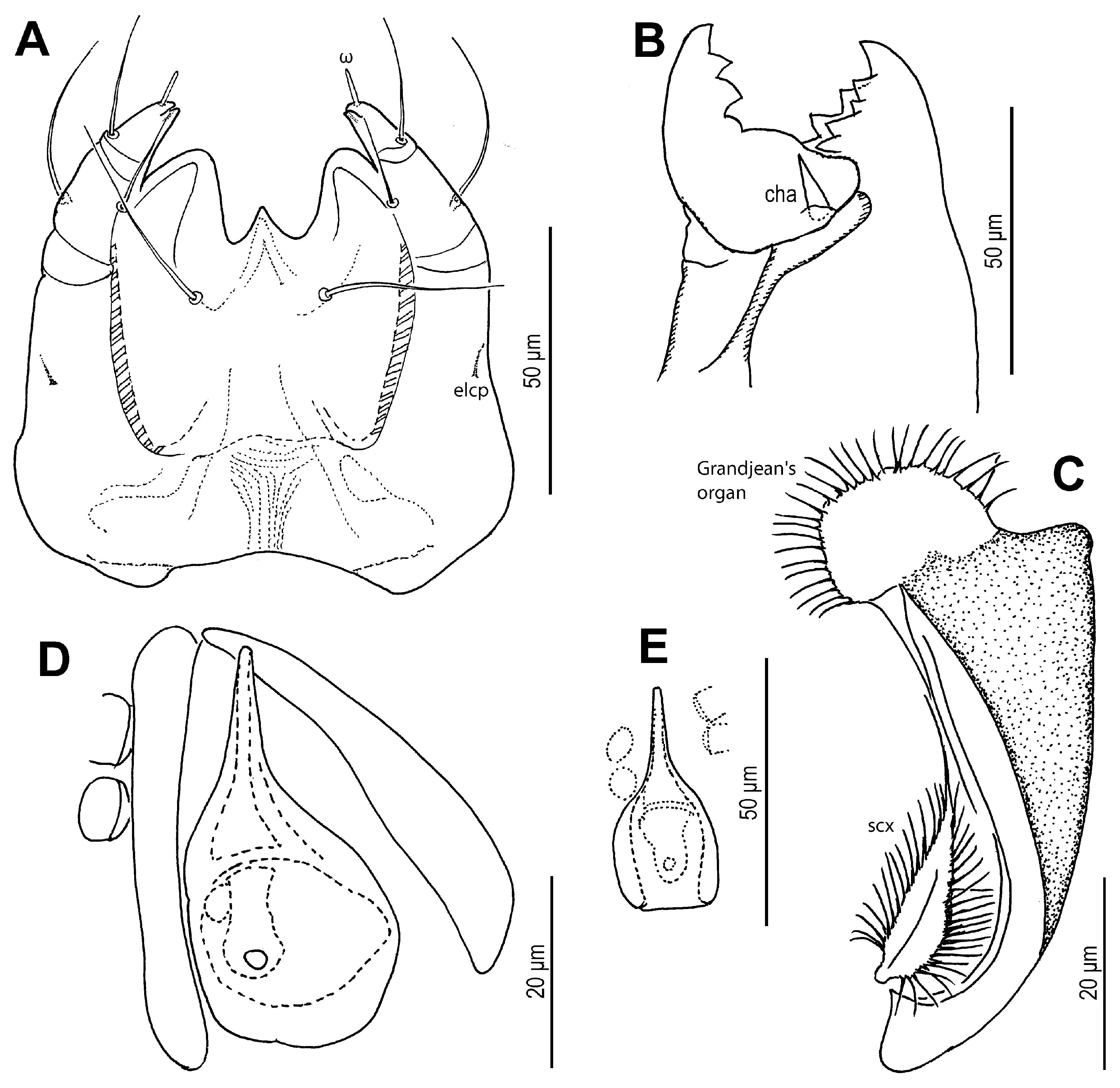 Insects 16 00896 g010