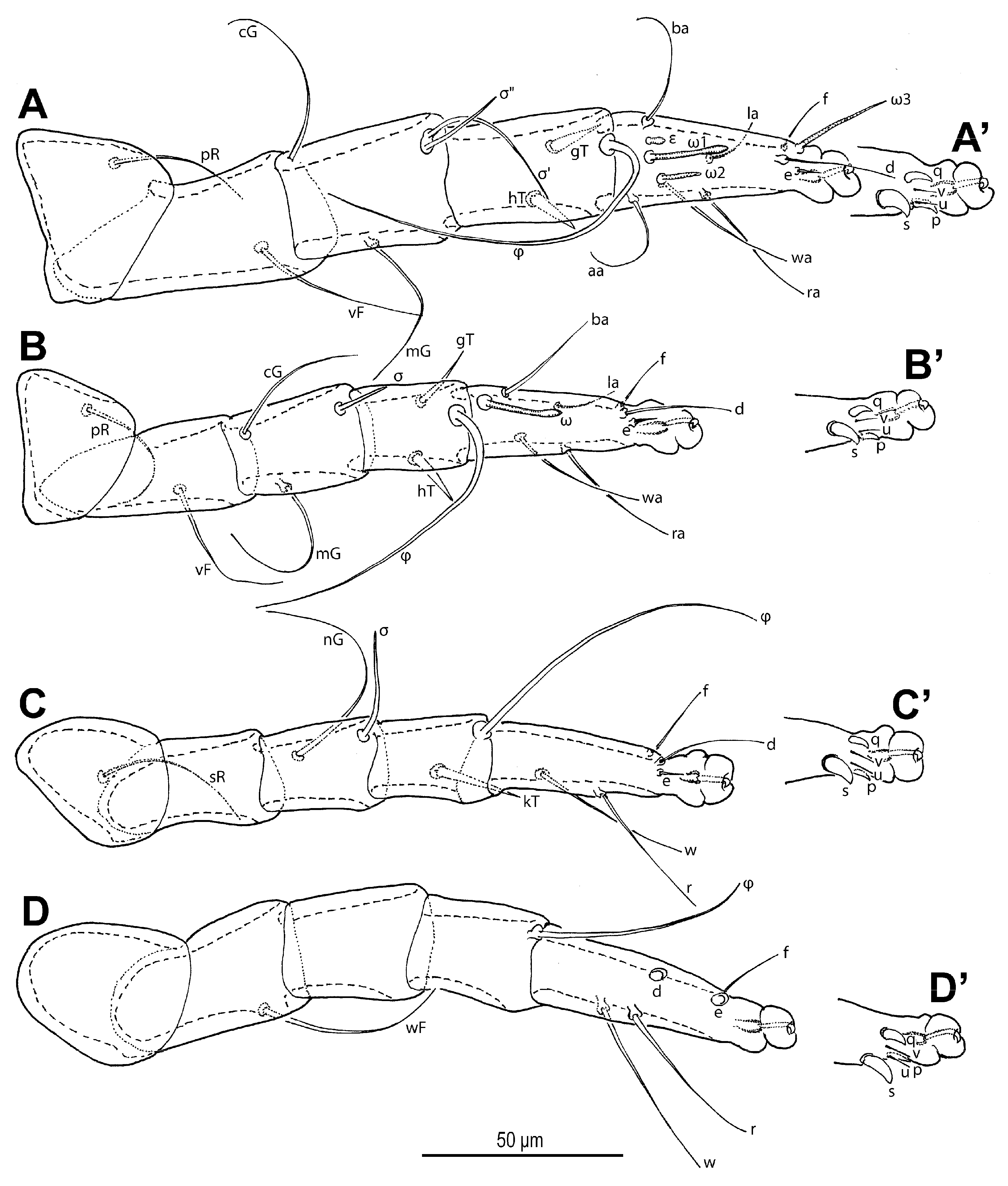 Insects 16 00896 g012