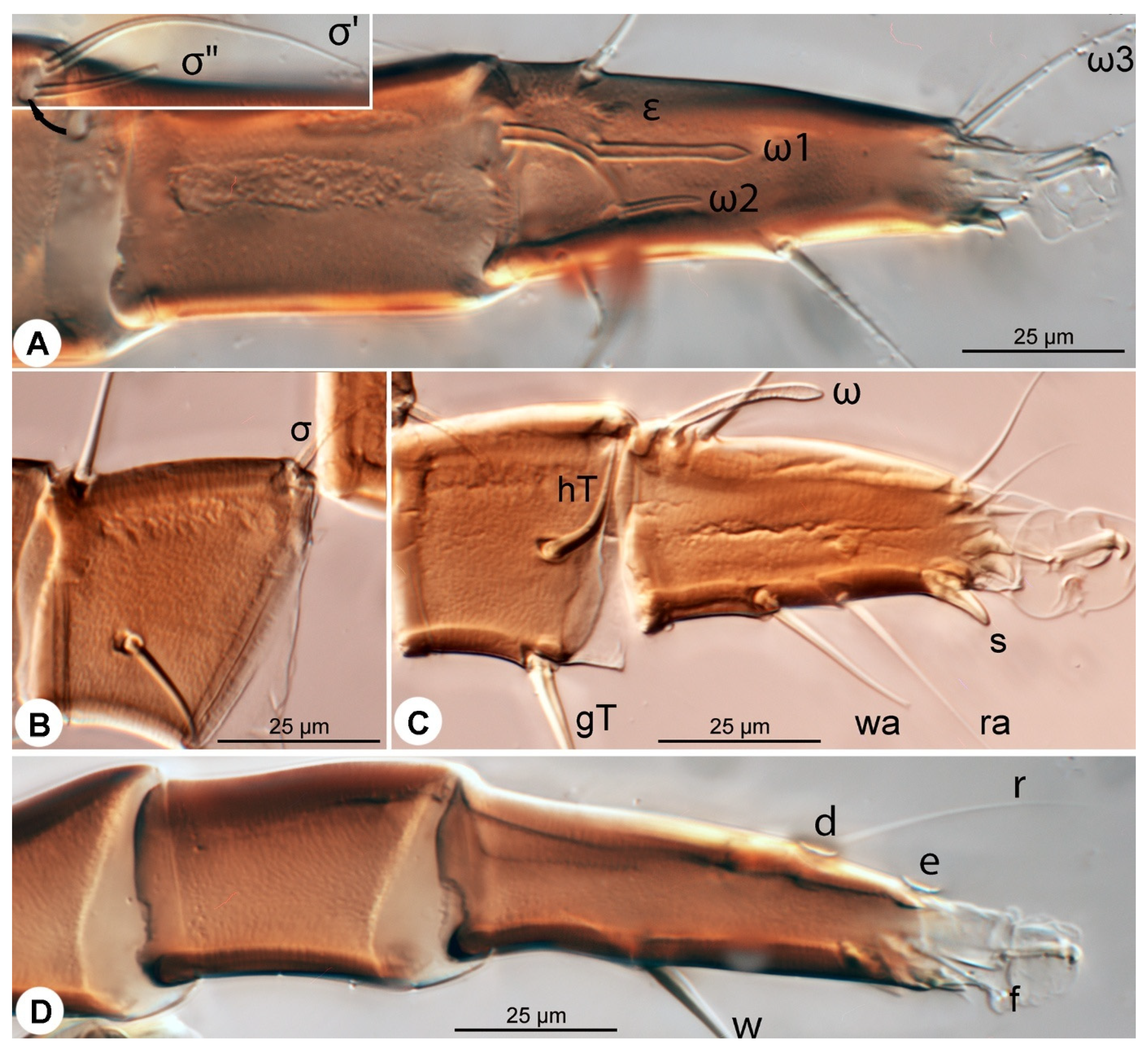 Insects 16 00896 g013