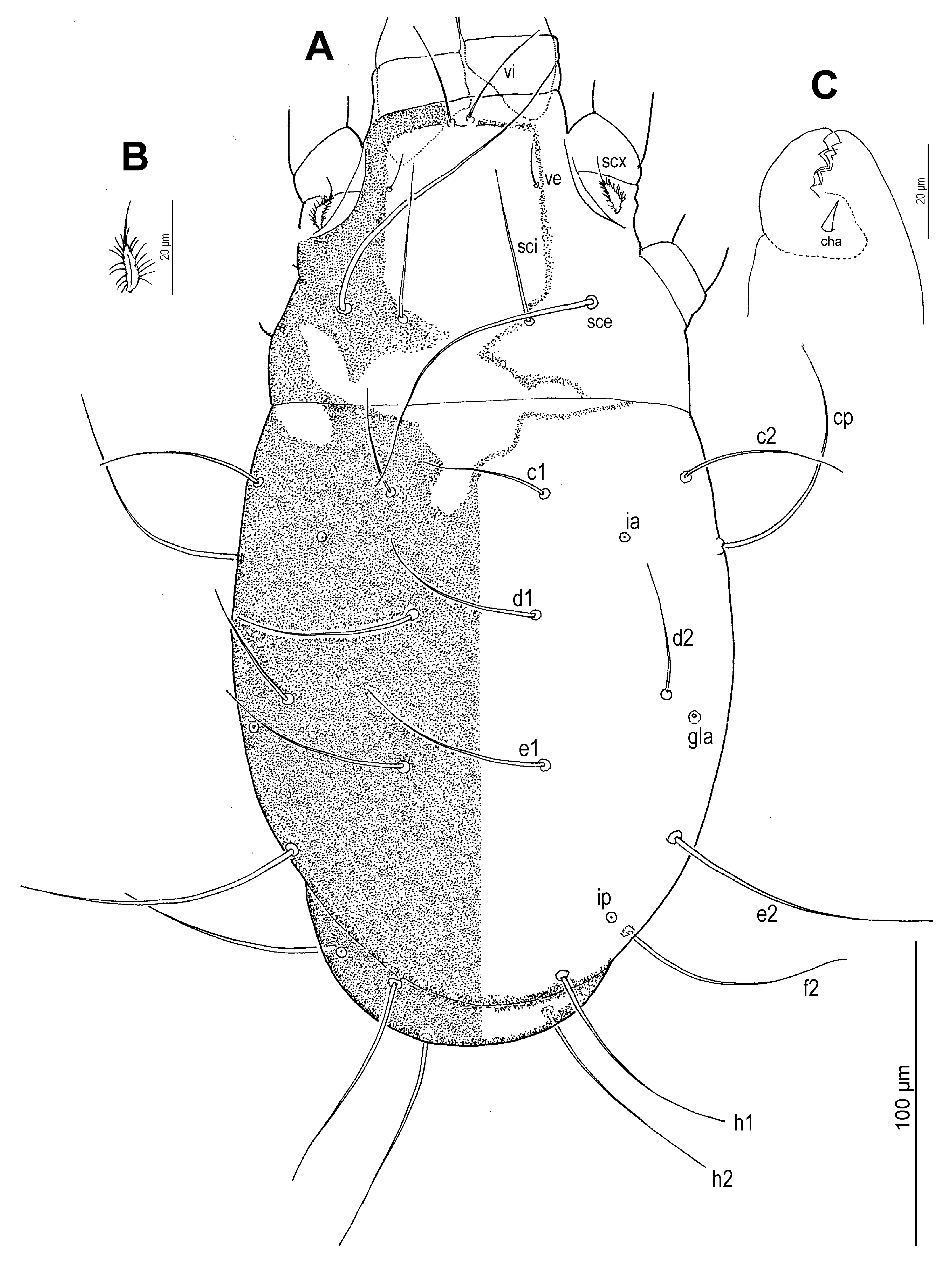Insects 16 00896 g014