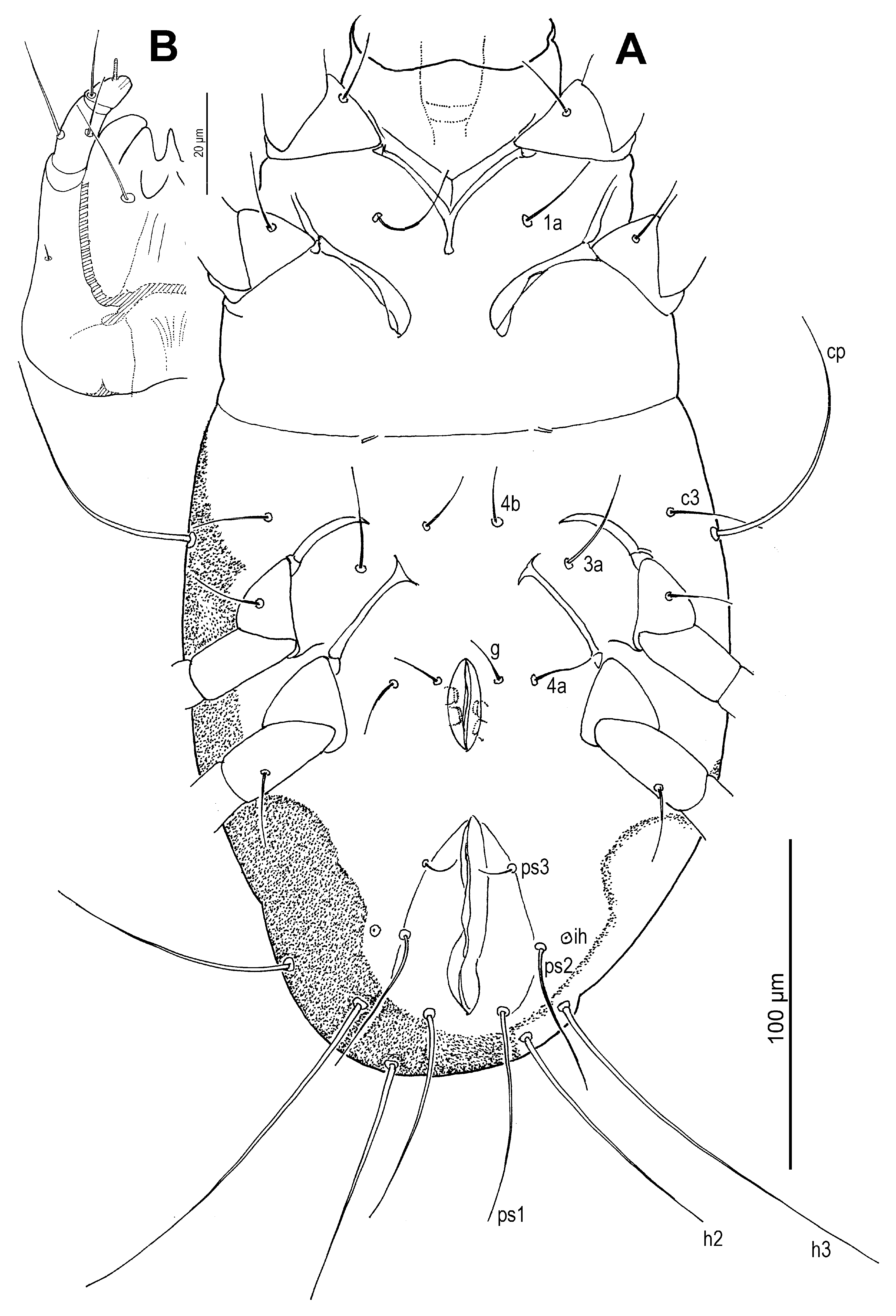 Insects 16 00896 g015