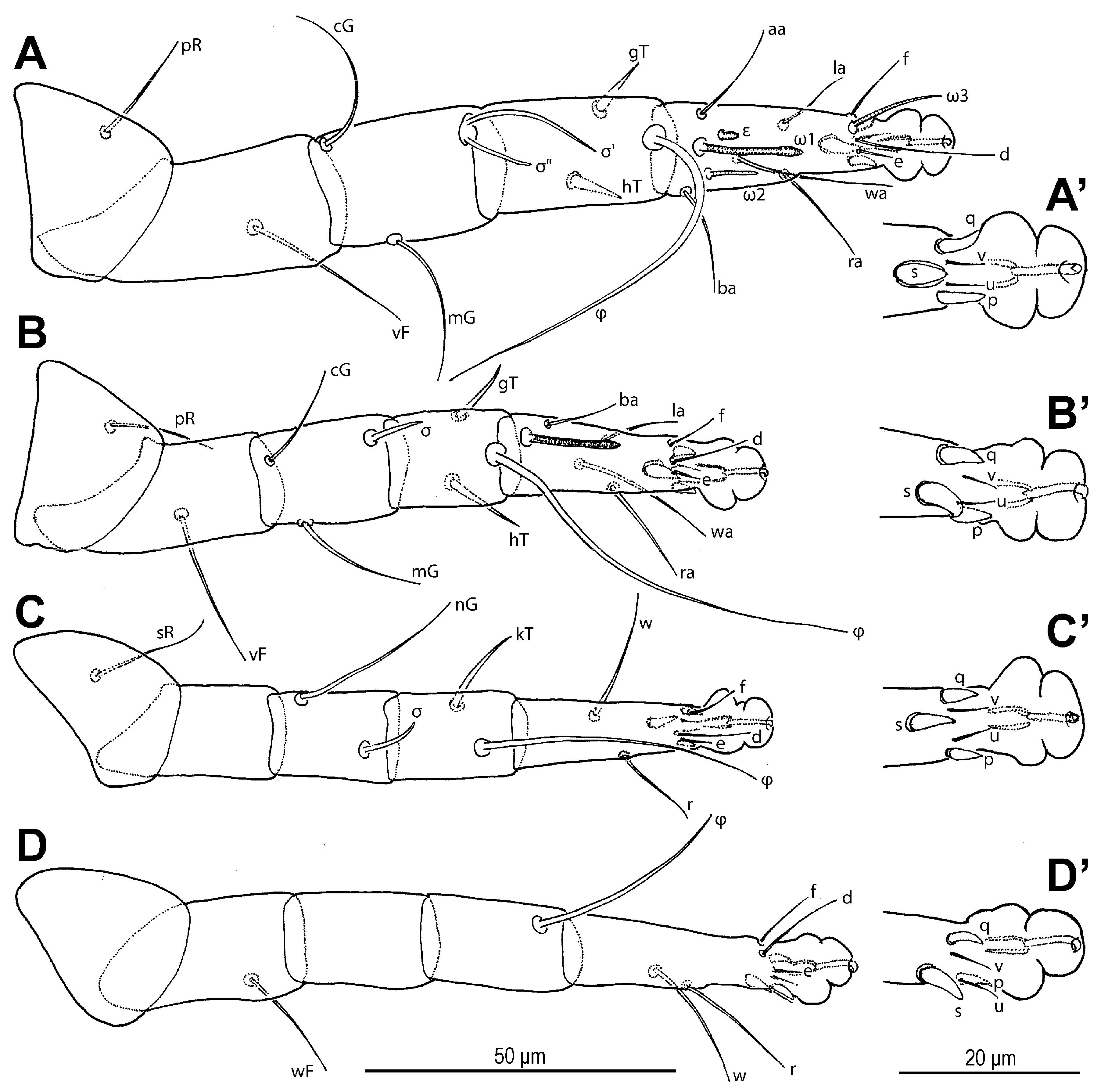 Insects 16 00896 g018