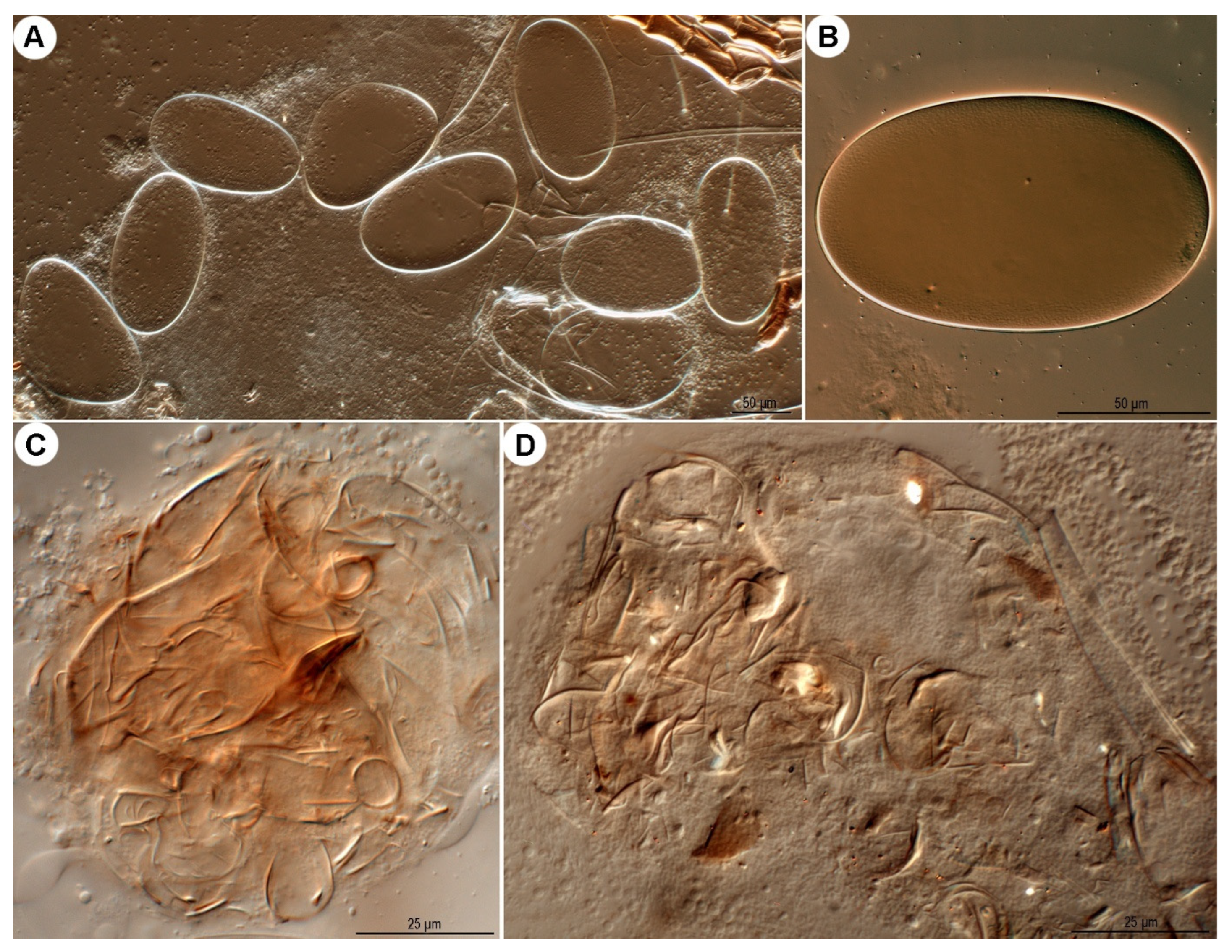 Insects 16 00896 g027
