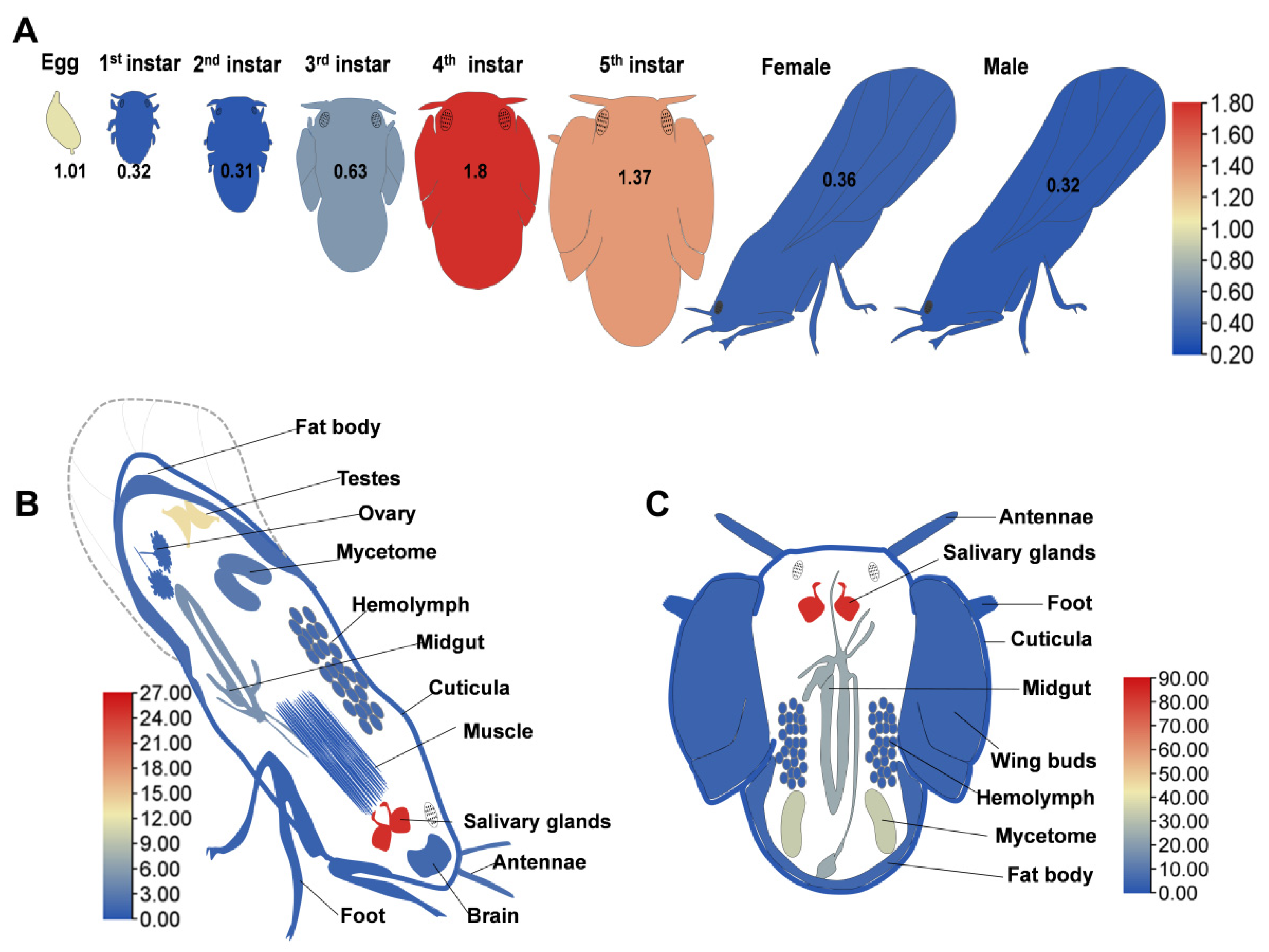 Insects 16 00901 g002 Insects 16 00901 g002