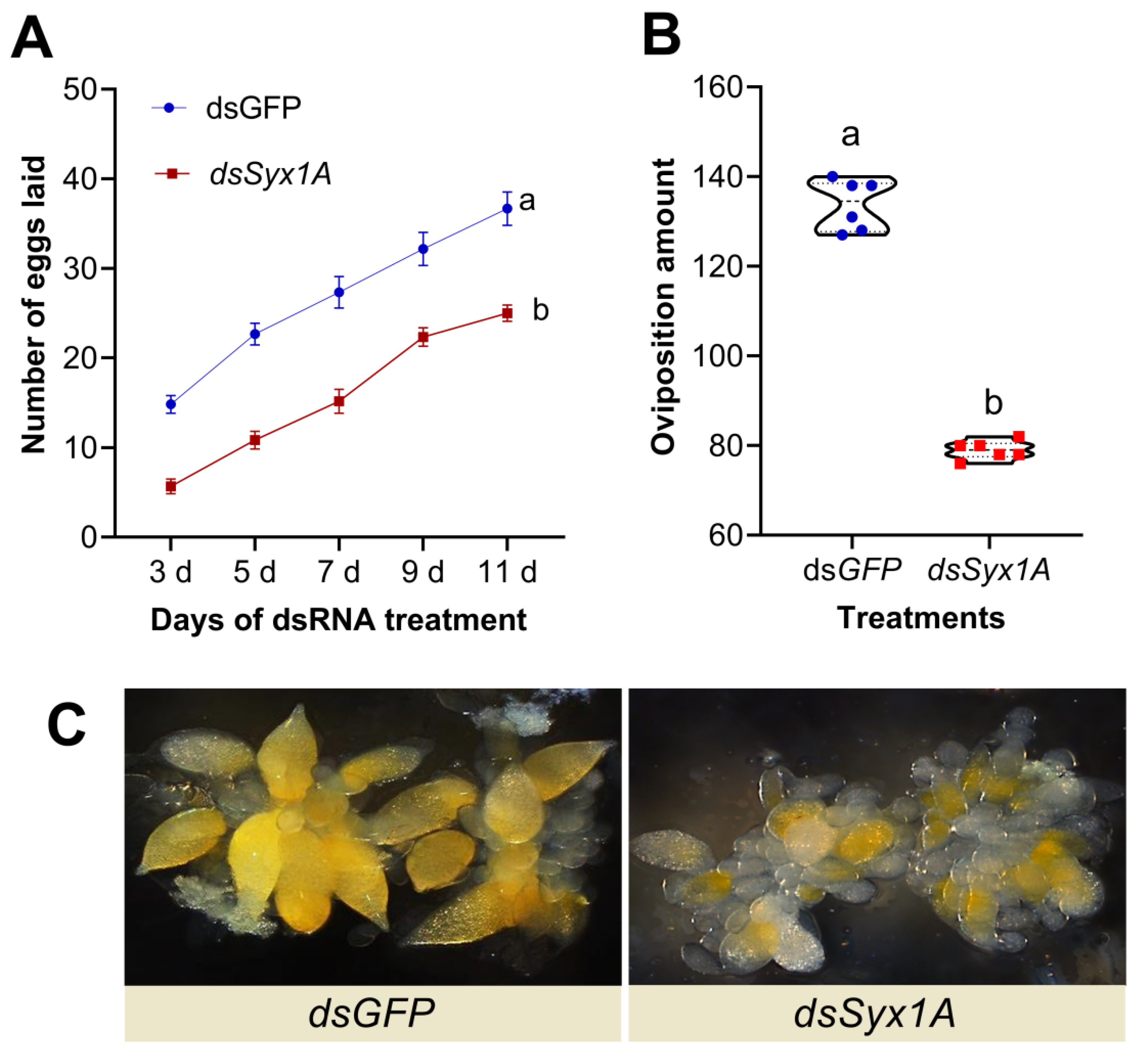 Insects 16 00901 g005 Insects 16 00901 g005