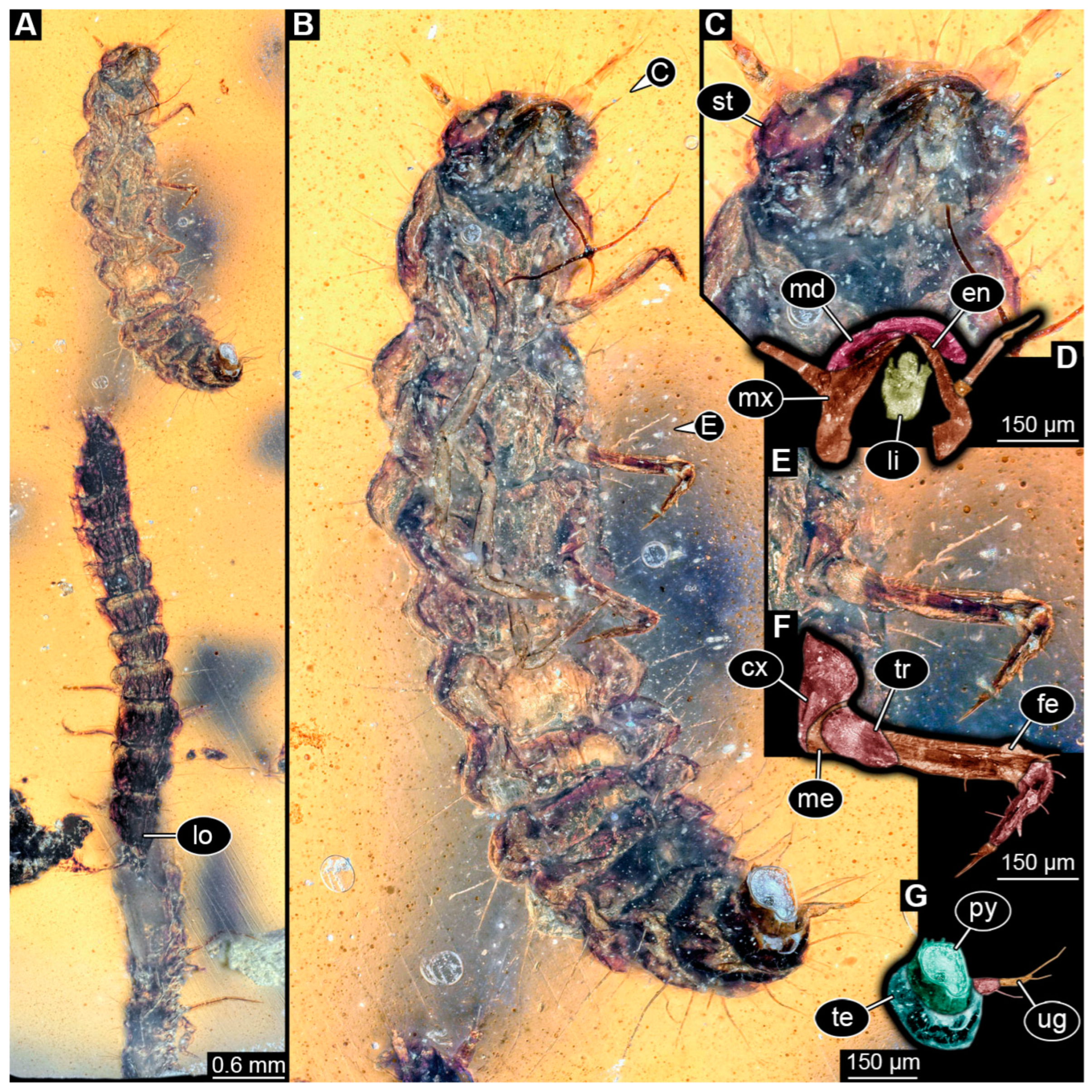 Insects 16 00910 g005 Insects 16 00910 g005