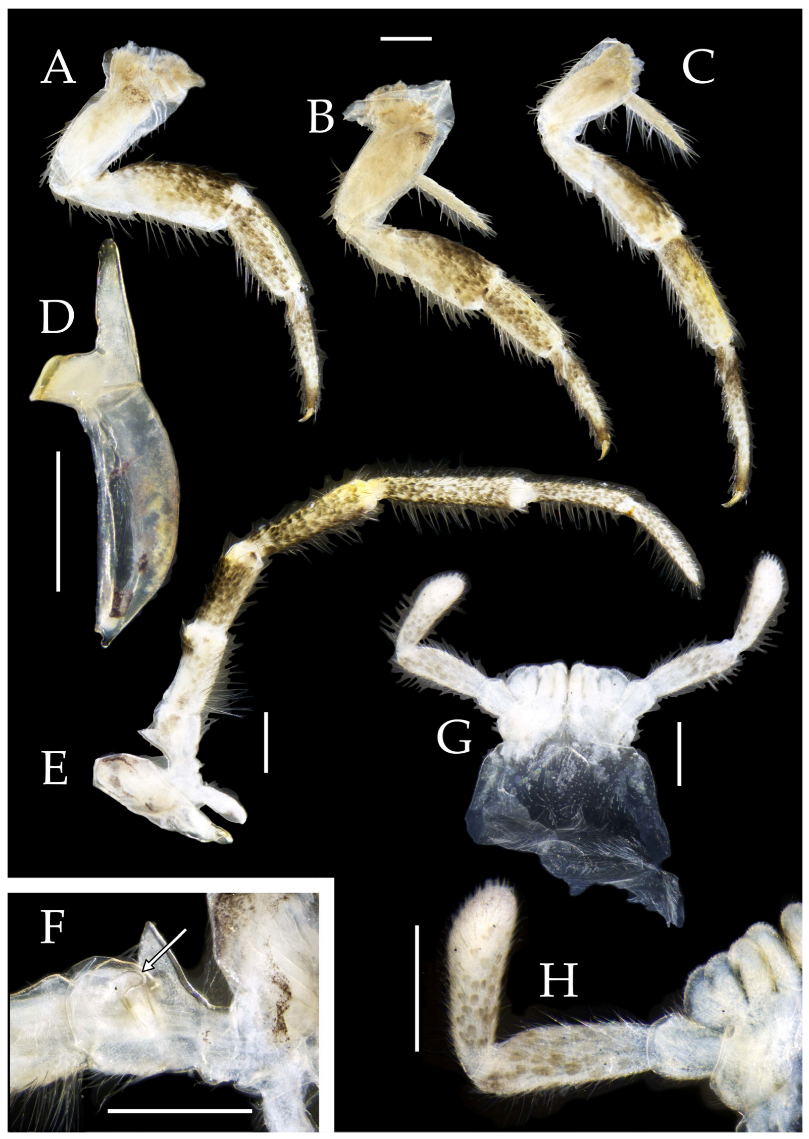 Insects 16 00916 g003