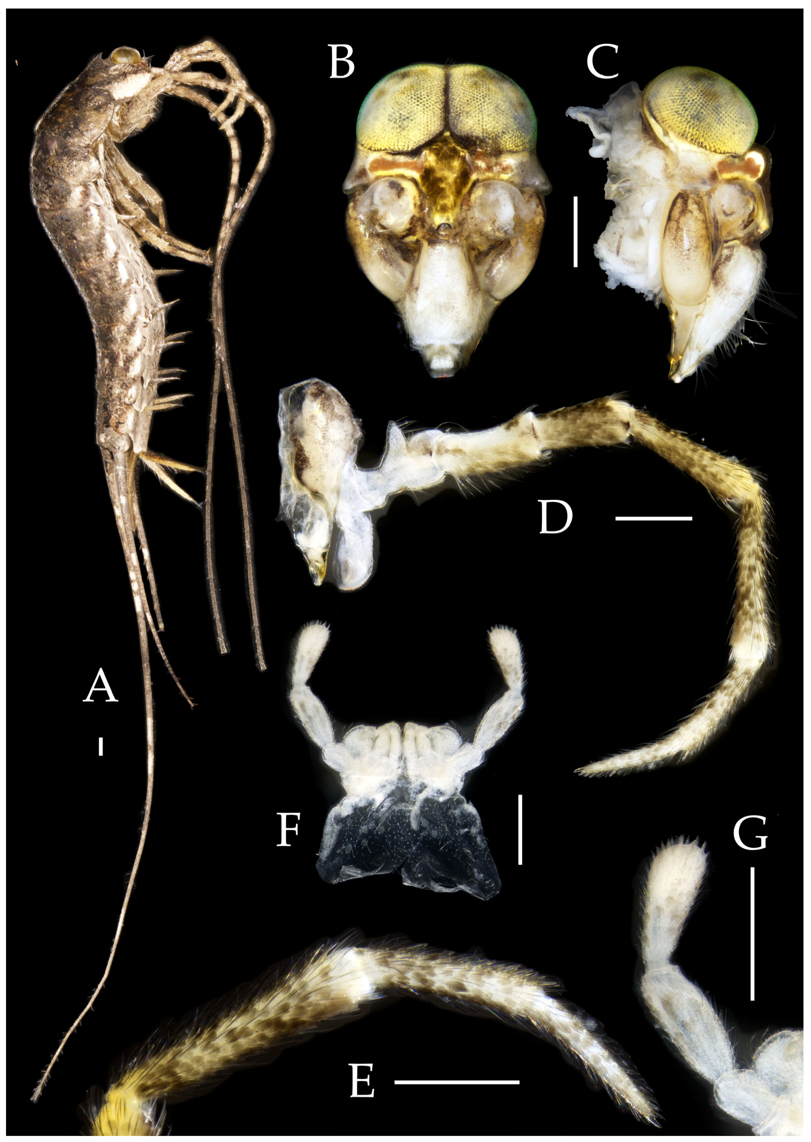 Insects 16 00916 g005