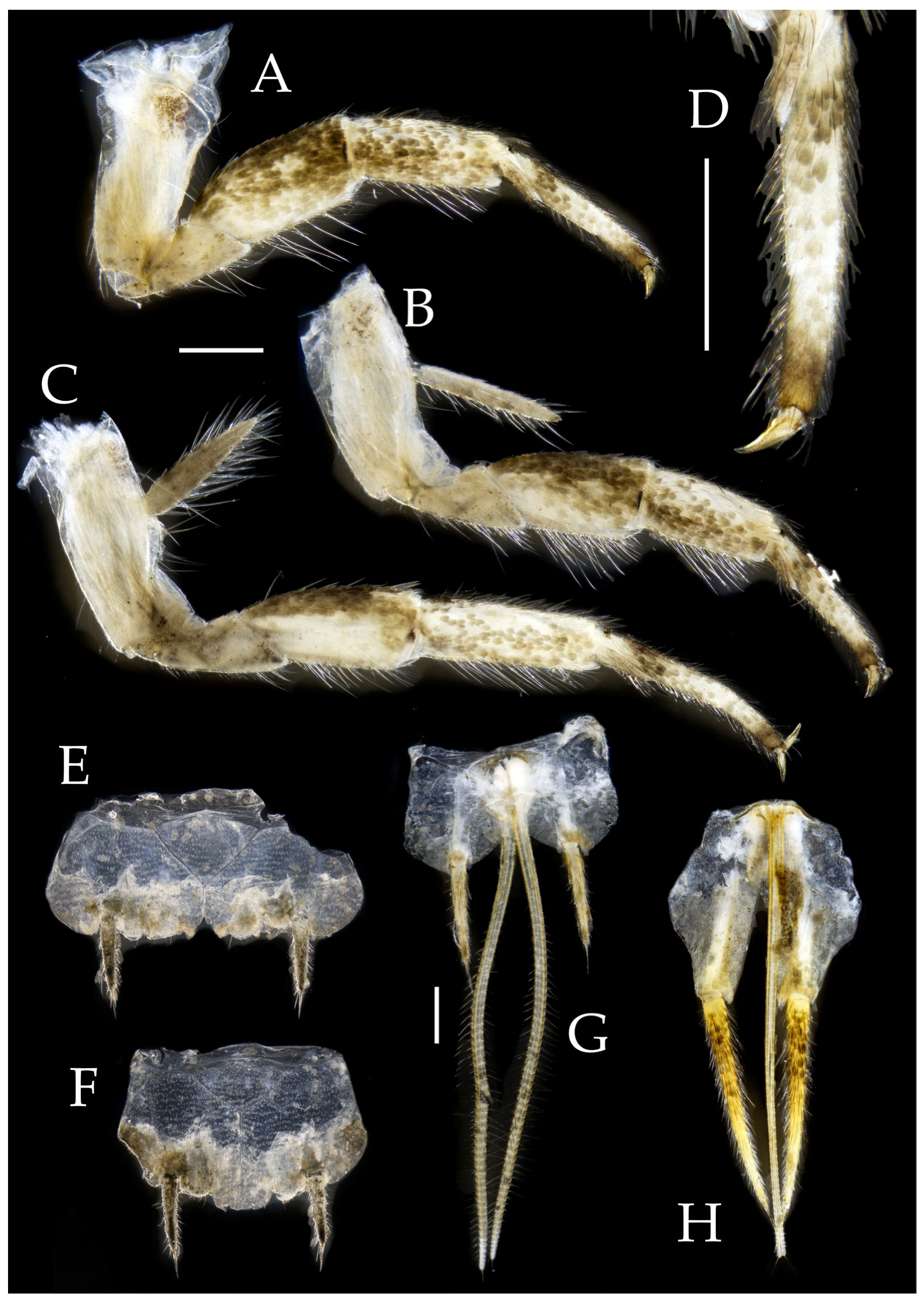 Insects 16 00916 g006