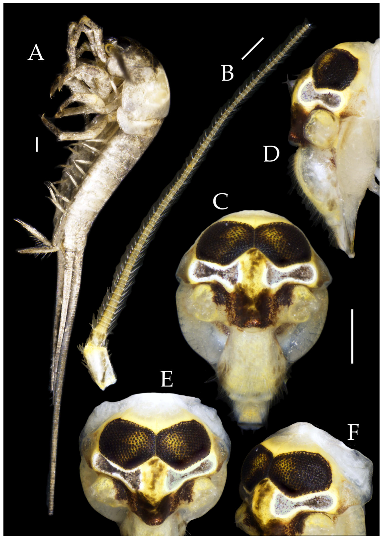 Insects 16 00916 g008