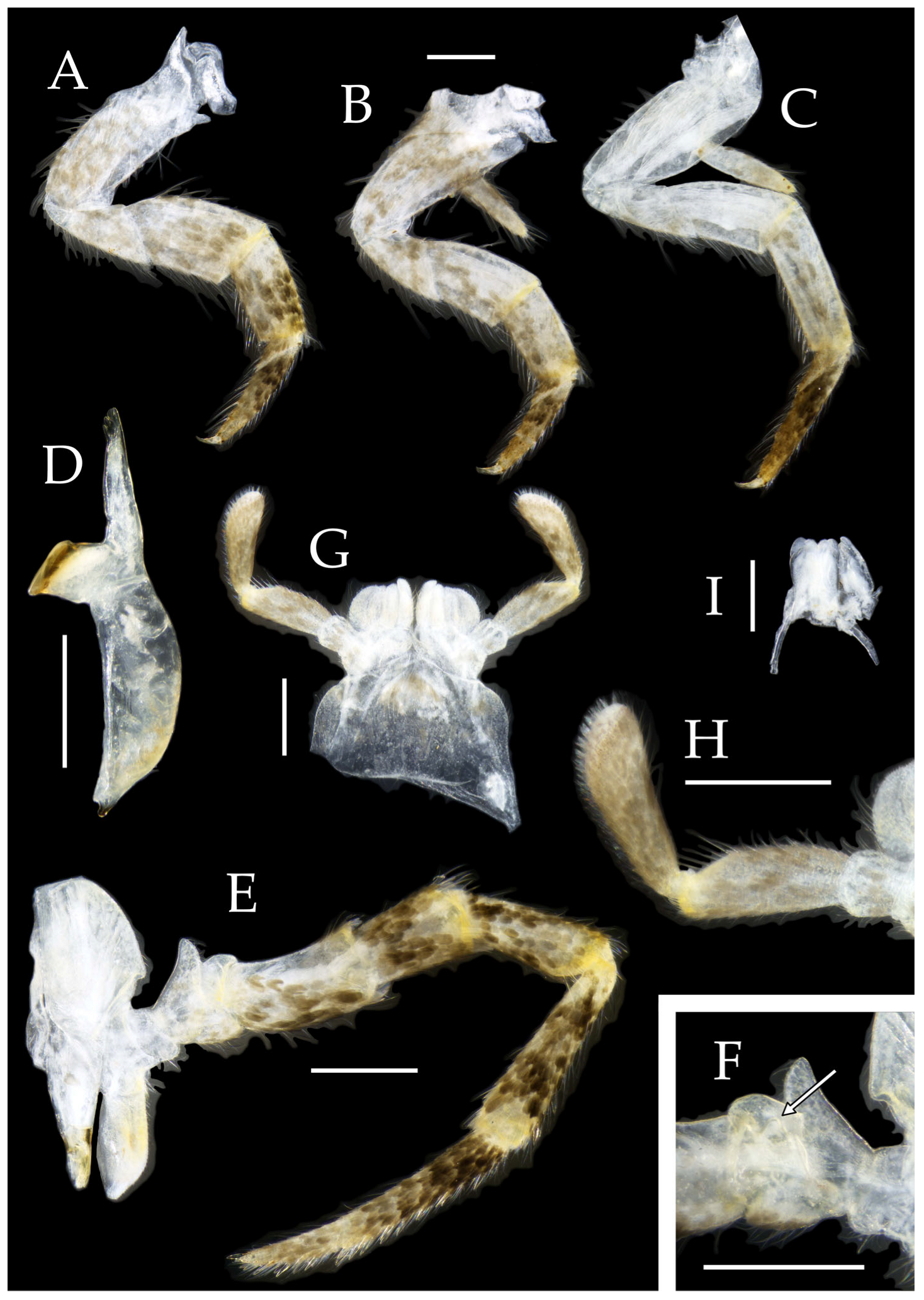 Insects 16 00916 g009