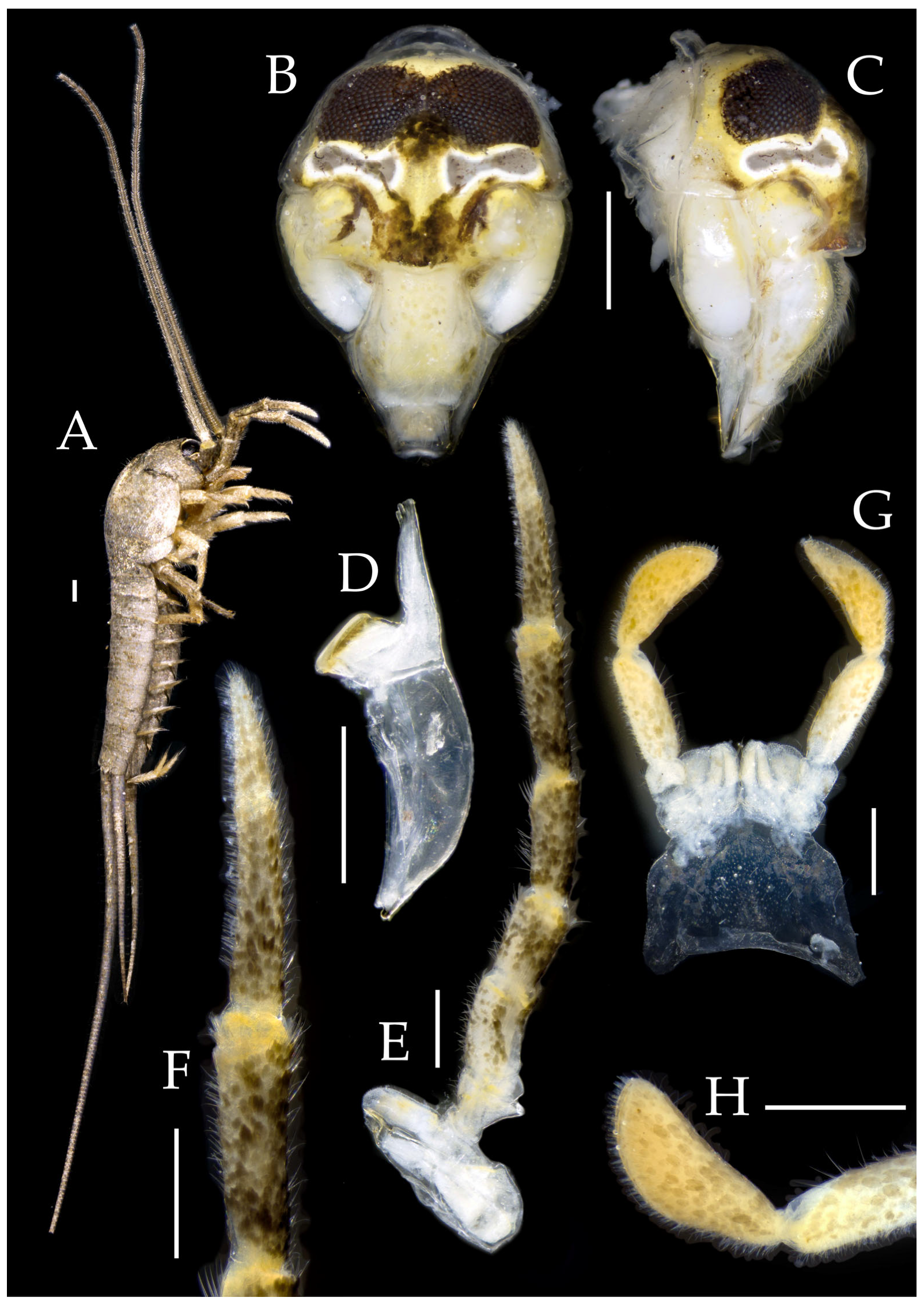 Insects 16 00916 g011