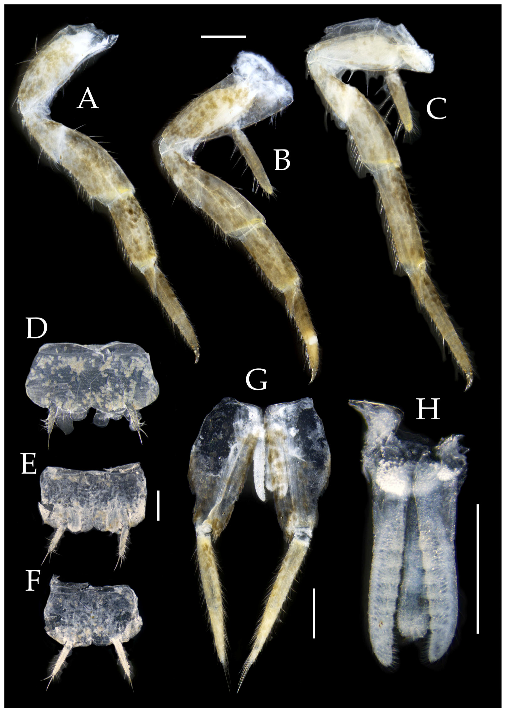 Insects 16 00916 g012