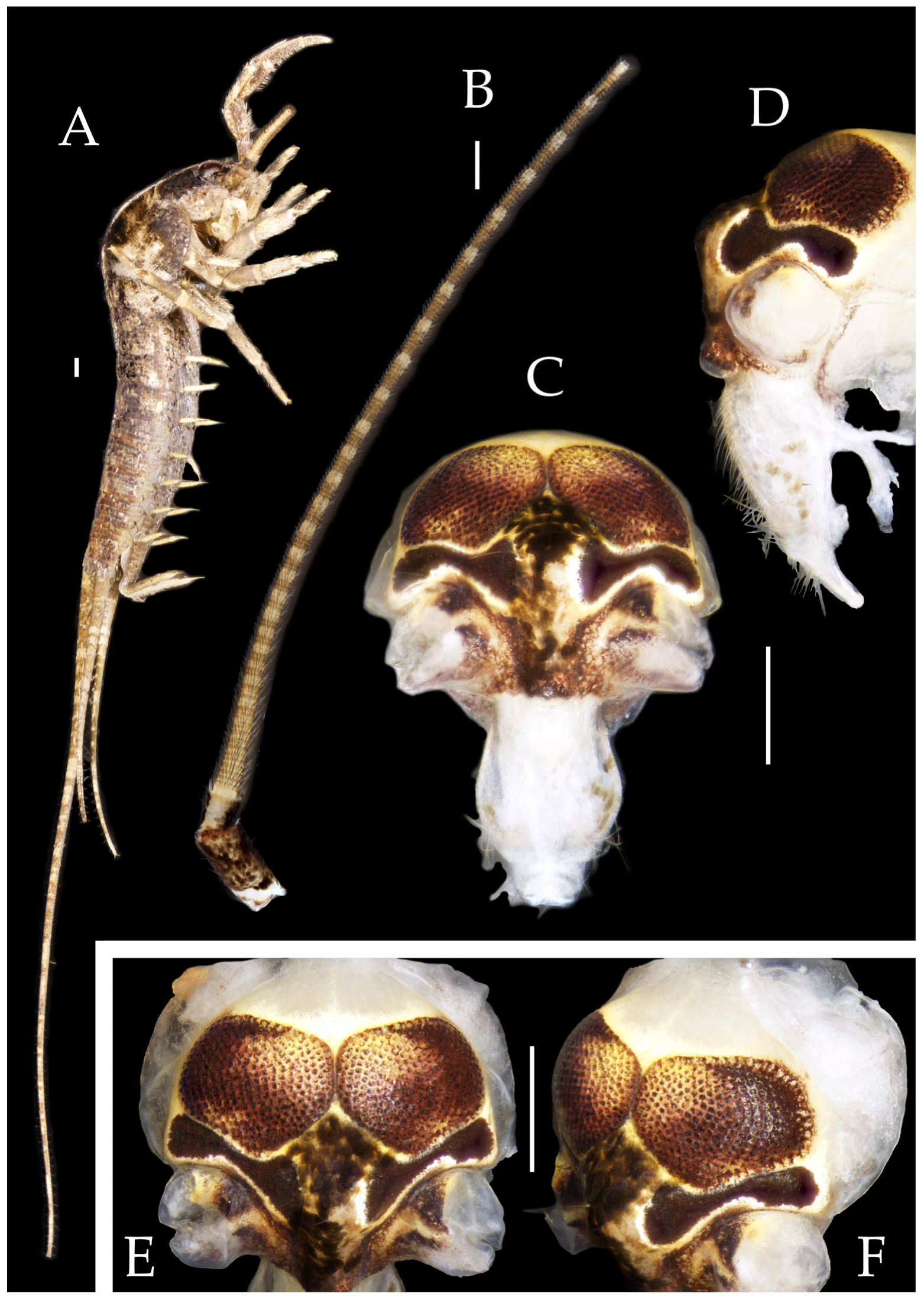 Insects 16 00916 g014