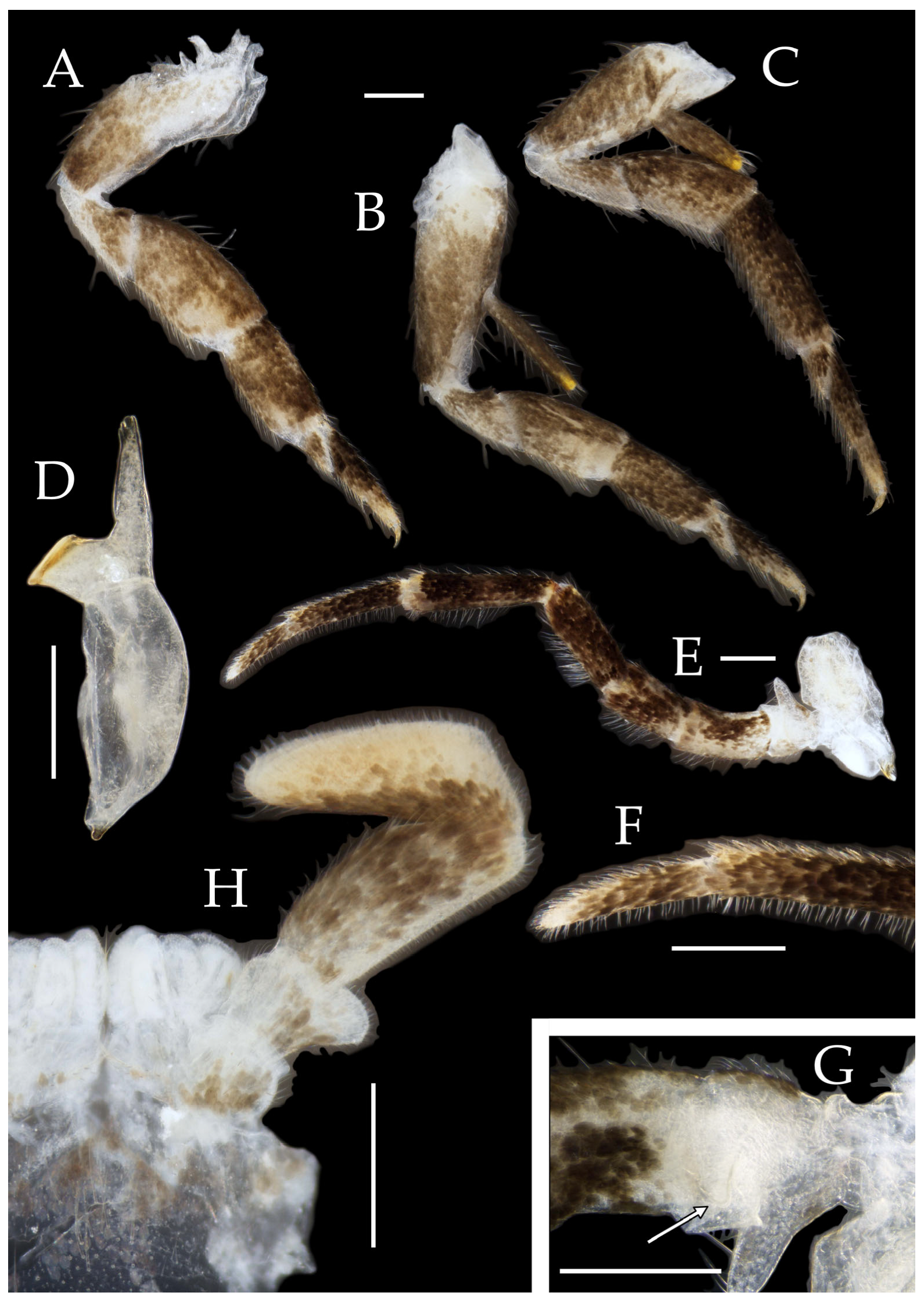 Insects 16 00916 g015