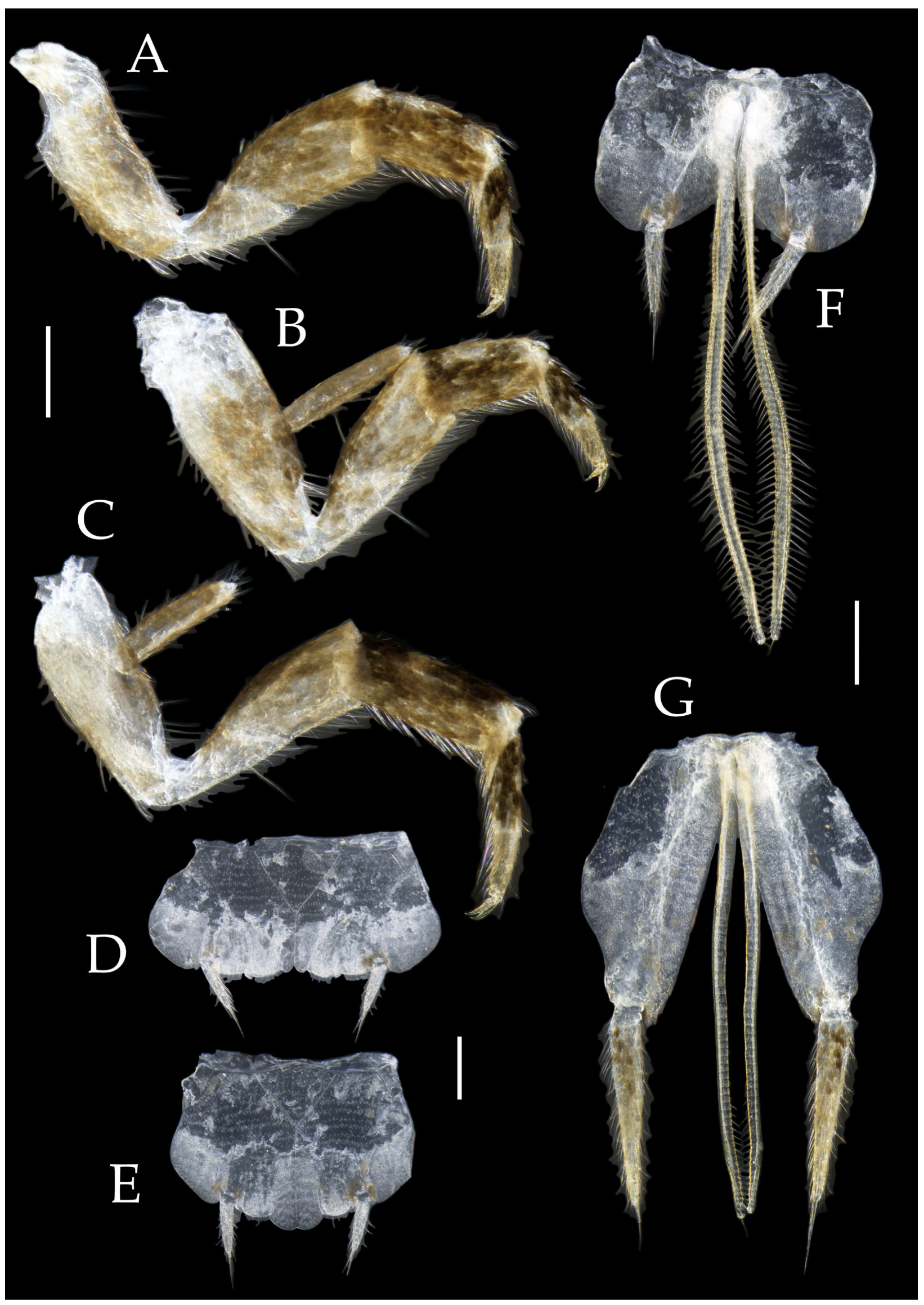 Insects 16 00916 g018