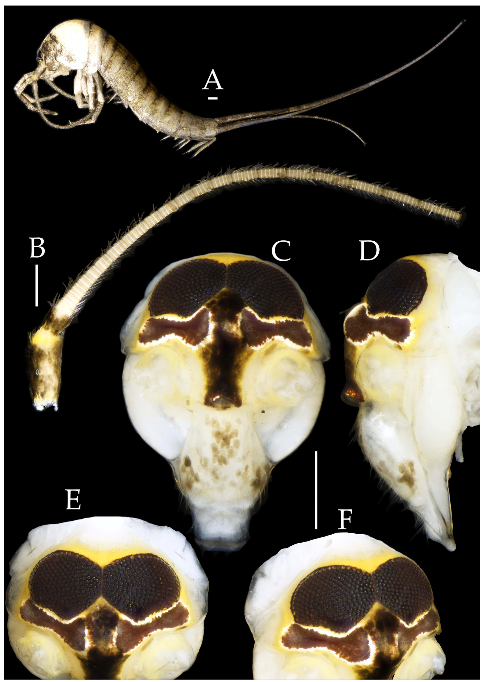 Insects 16 00916 g020