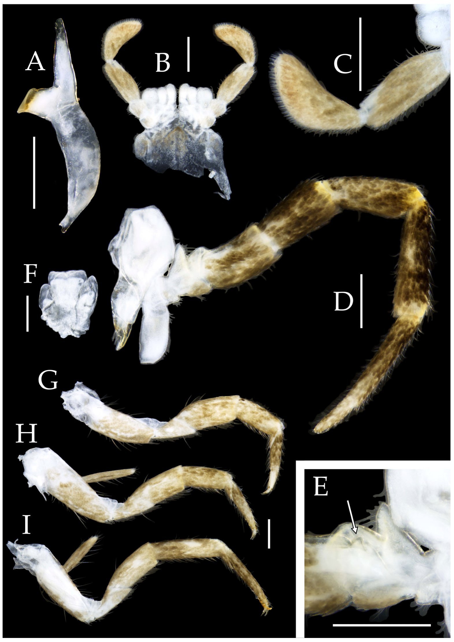 Insects 16 00916 g021