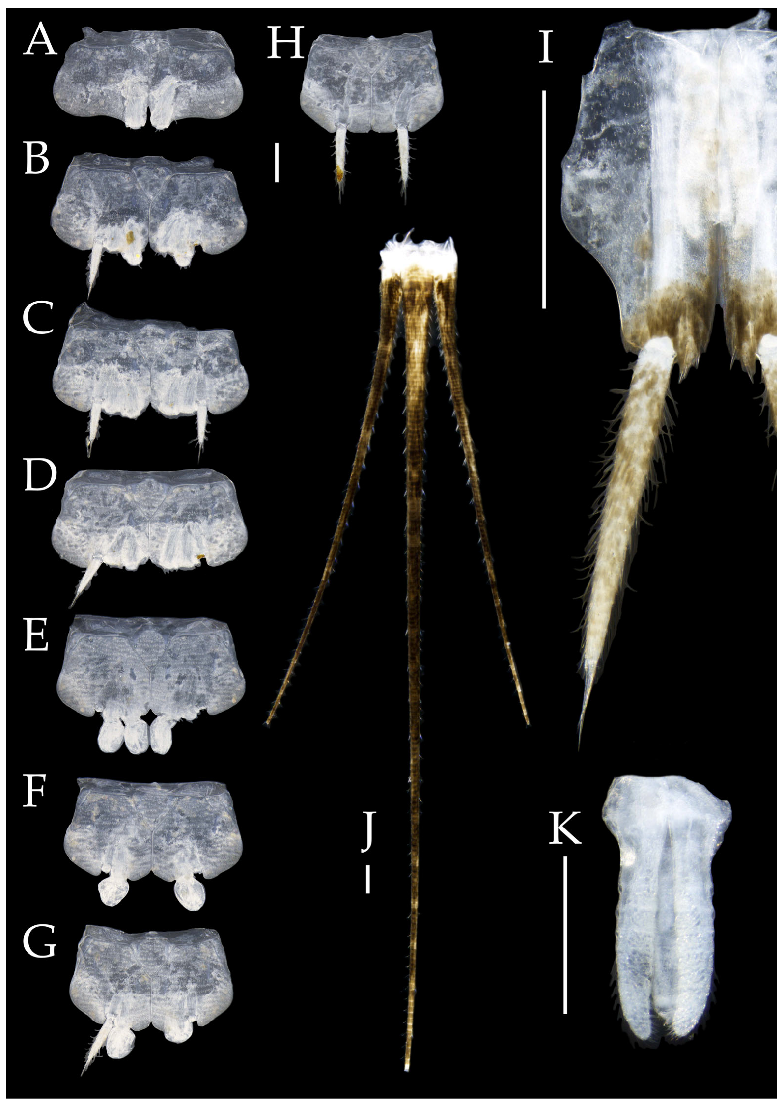 Insects 16 00916 g022