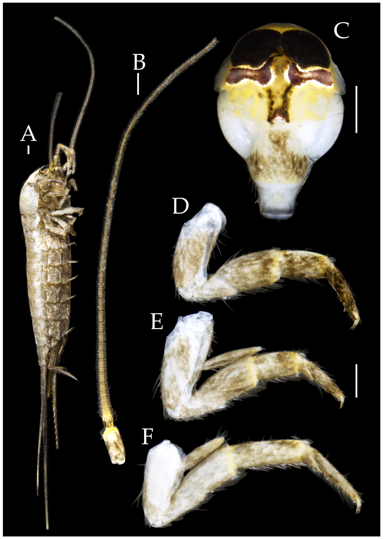 Insects 16 00916 g023