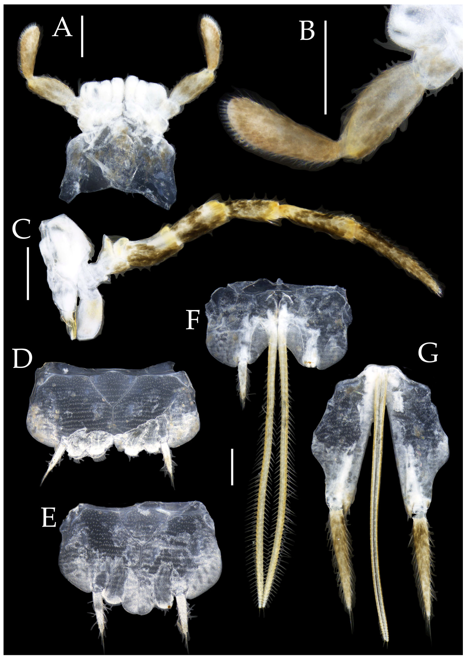 Insects 16 00916 g024