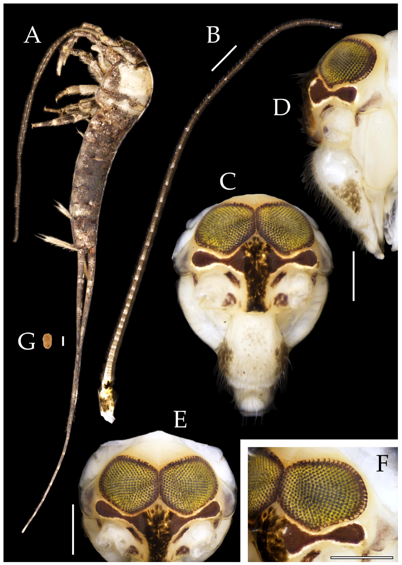 Insects 16 00916 g025