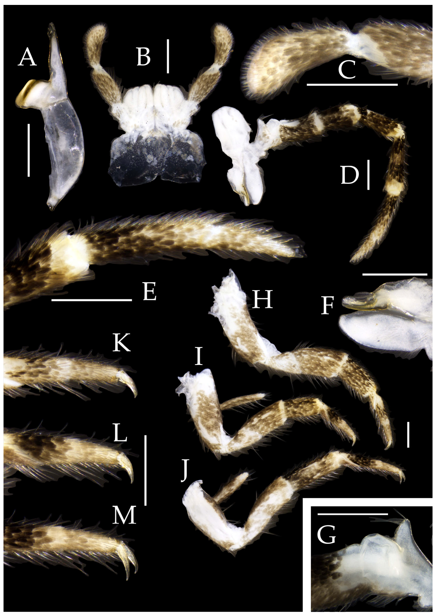 Insects 16 00916 g026